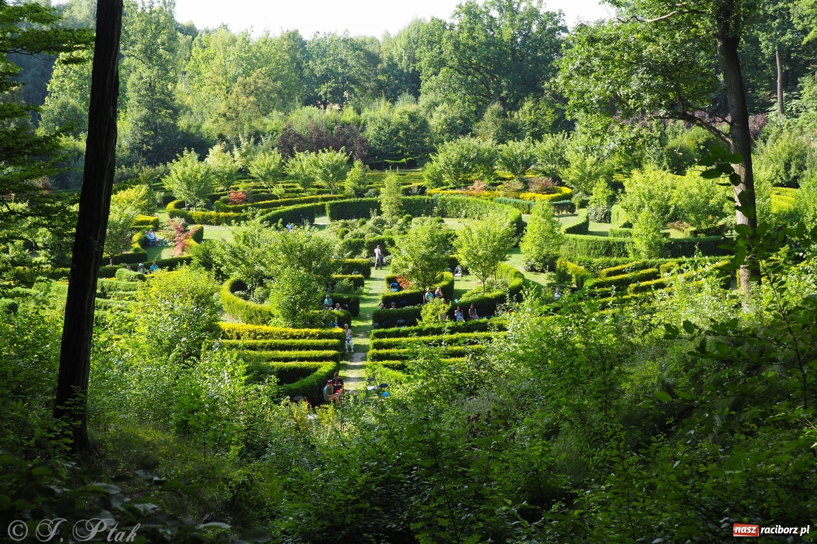 Zdjęcie w galerii na portalu naszraciborz.pl: Polskie melodie wypełniły Zaczarowany ogród wiadomości z regionu