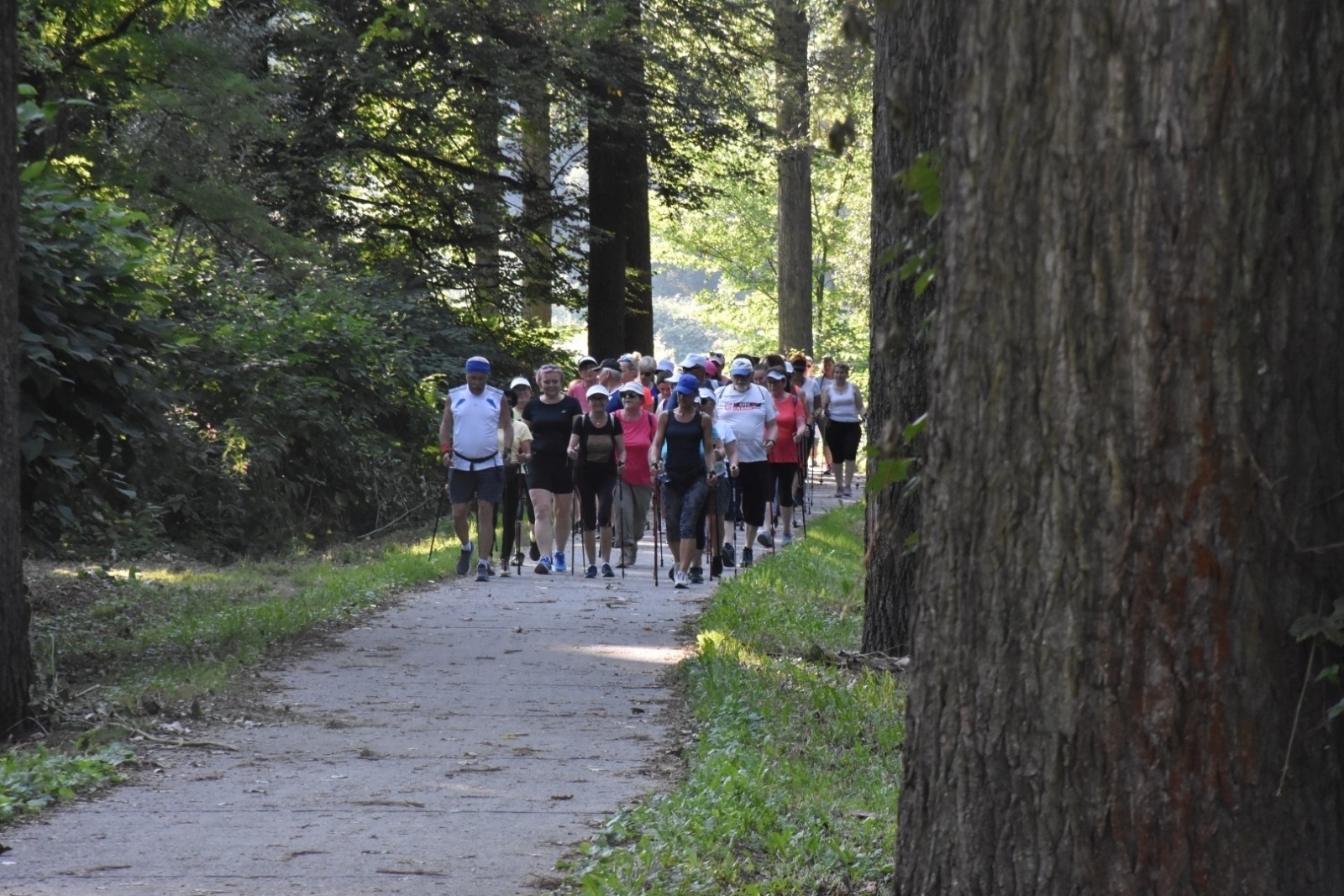 Zdjęcie w galerii na portalu naszraciborz.pl: Nordic Walking meandrami Odry w Chałupkach [FOTO] wiadomości z regionu