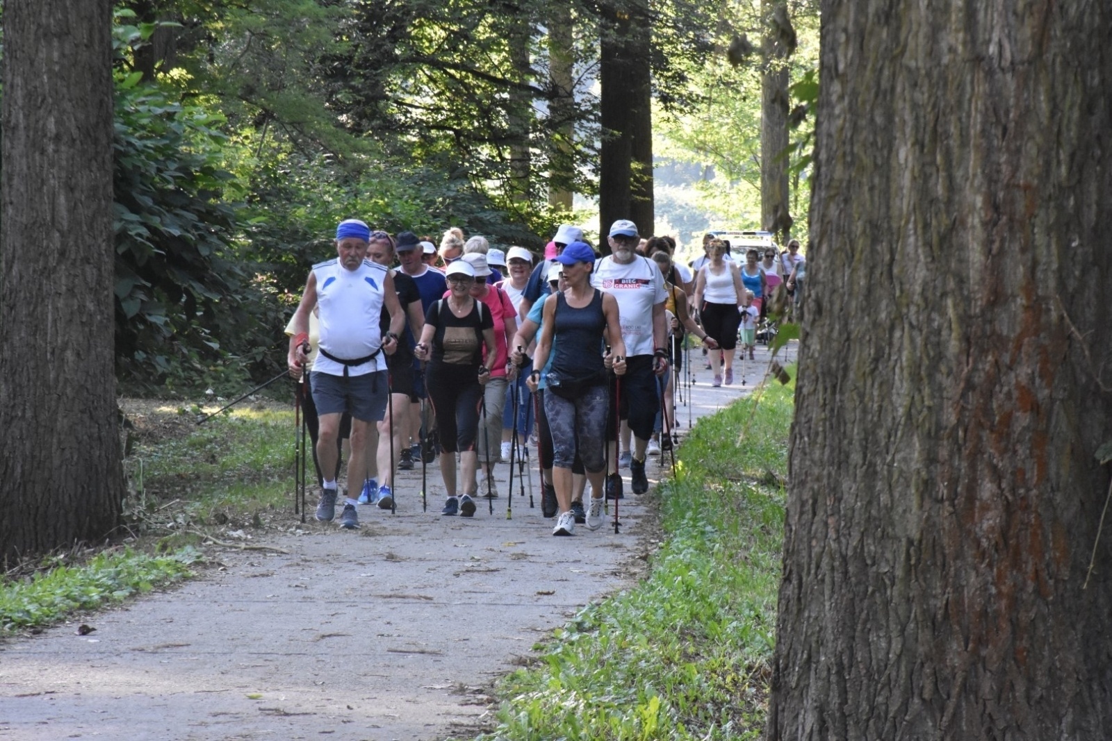 Zdjęcie w galerii na portalu naszraciborz.pl: Nordic Walking meandrami Odry w Chałupkach [FOTO] wiadomości z regionu