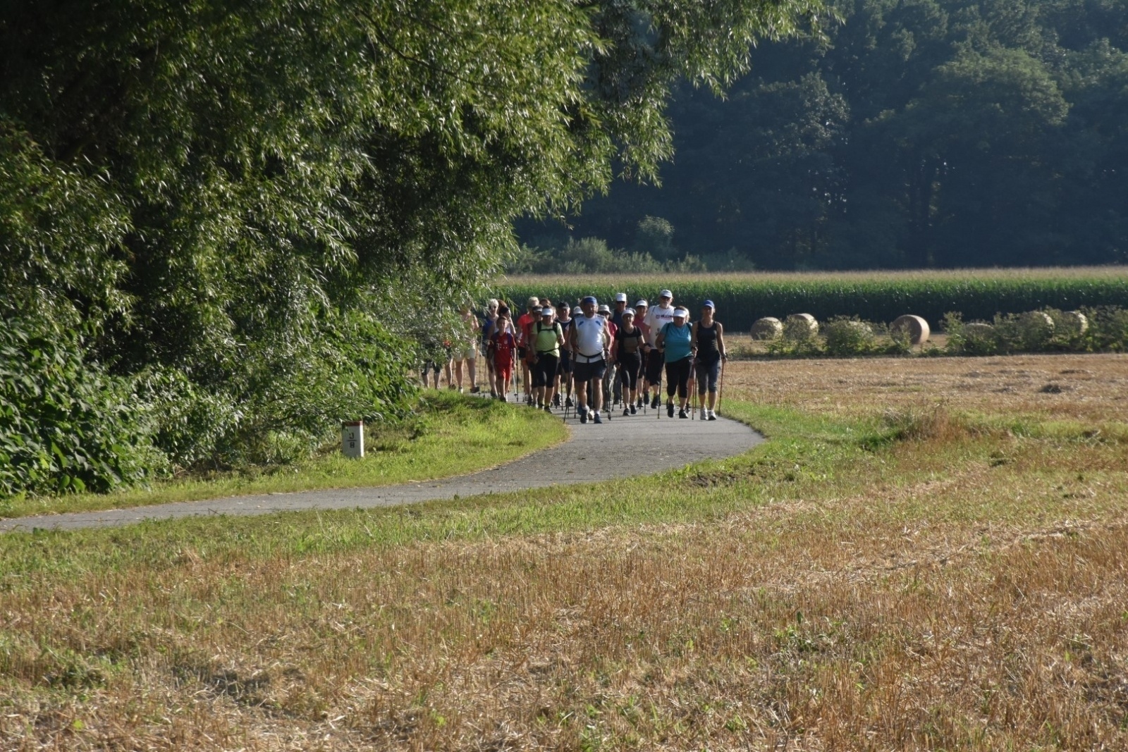 Zdjęcie w galerii na portalu naszraciborz.pl: Nordic Walking meandrami Odry w Chałupkach [FOTO] wiadomości z regionu