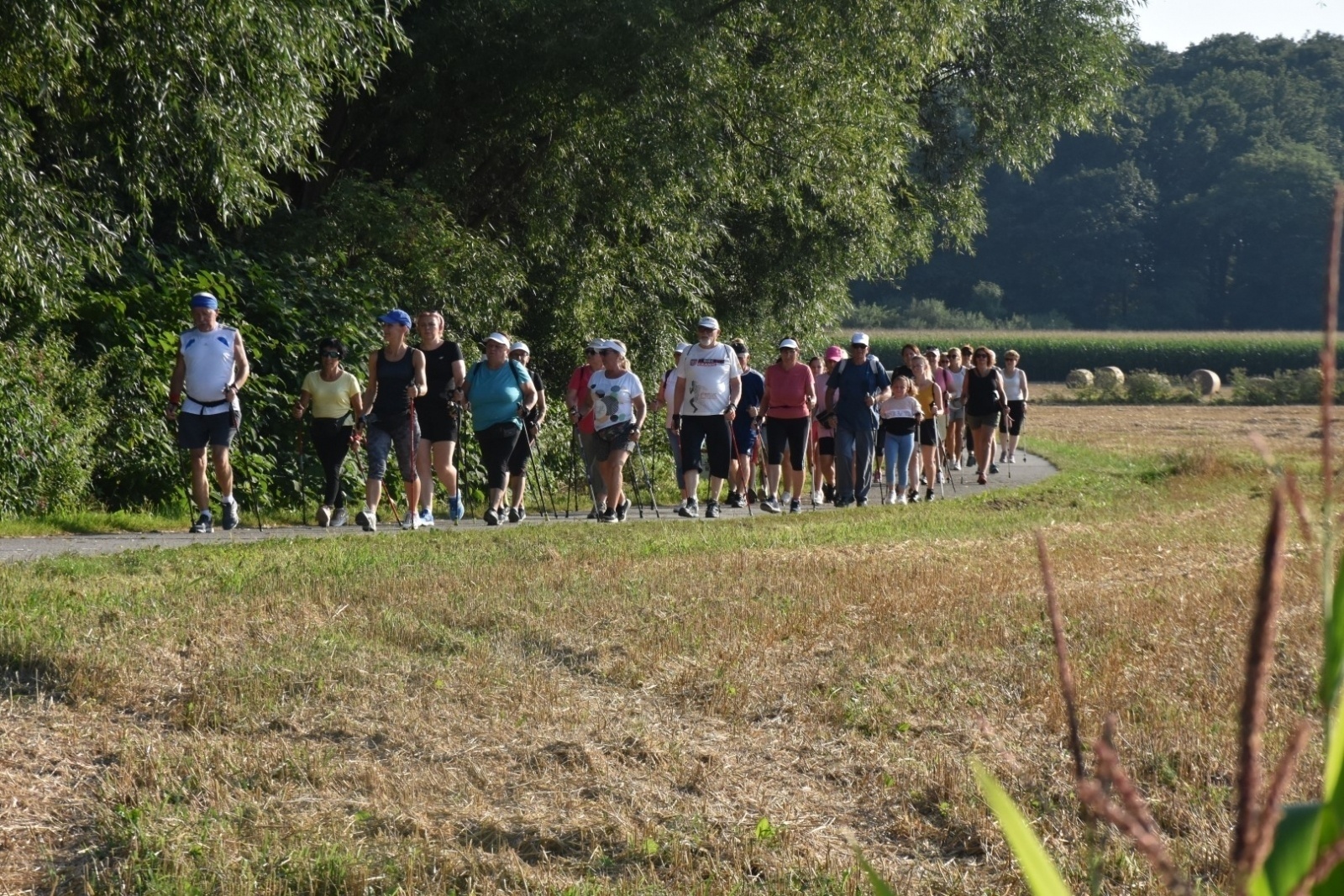 Zdjęcie w galerii na portalu naszraciborz.pl: Nordic Walking meandrami Odry w Chałupkach [FOTO] wiadomości z regionu