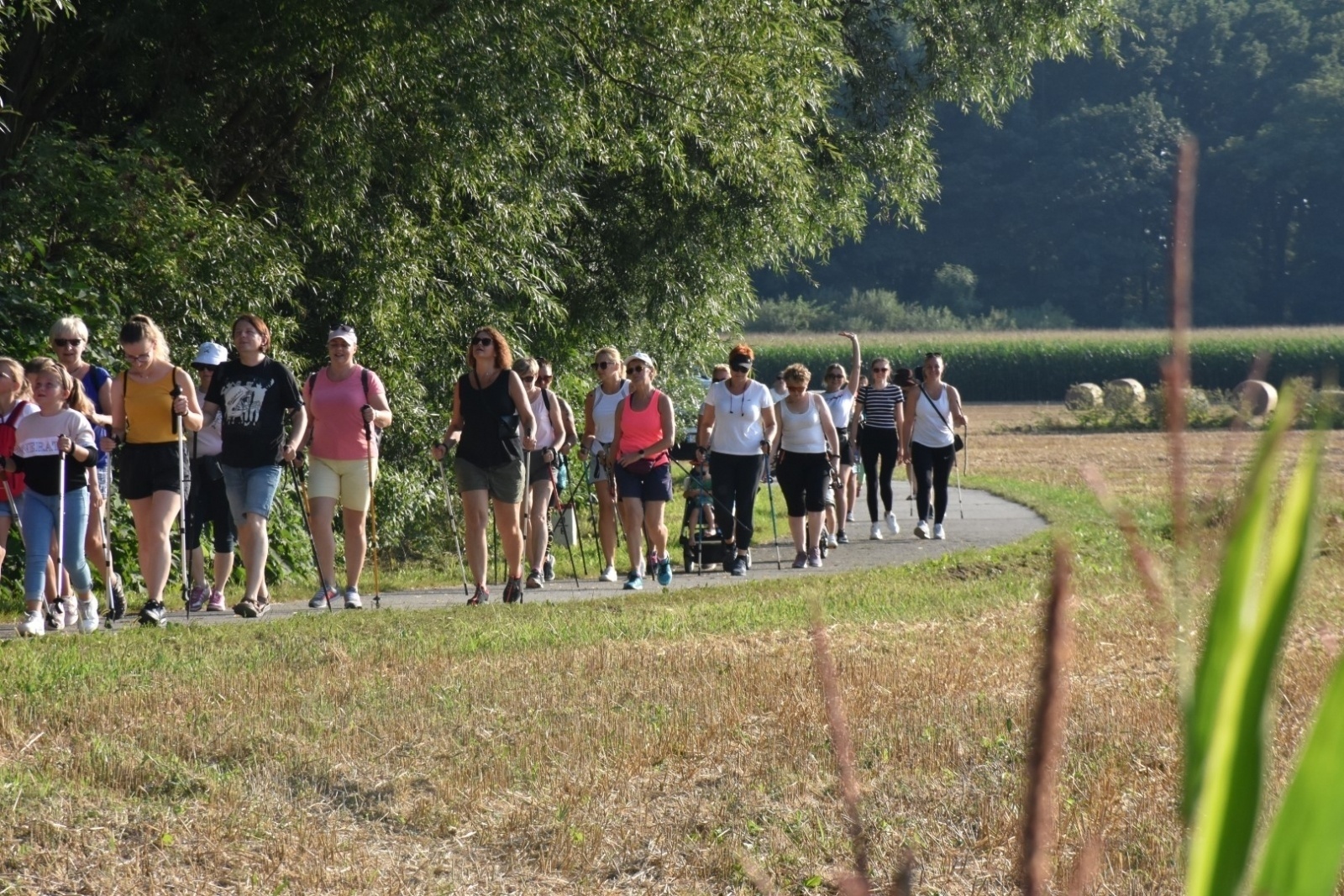 Zdjęcie w galerii na portalu naszraciborz.pl: Nordic Walking meandrami Odry w Chałupkach [FOTO] wiadomości z regionu