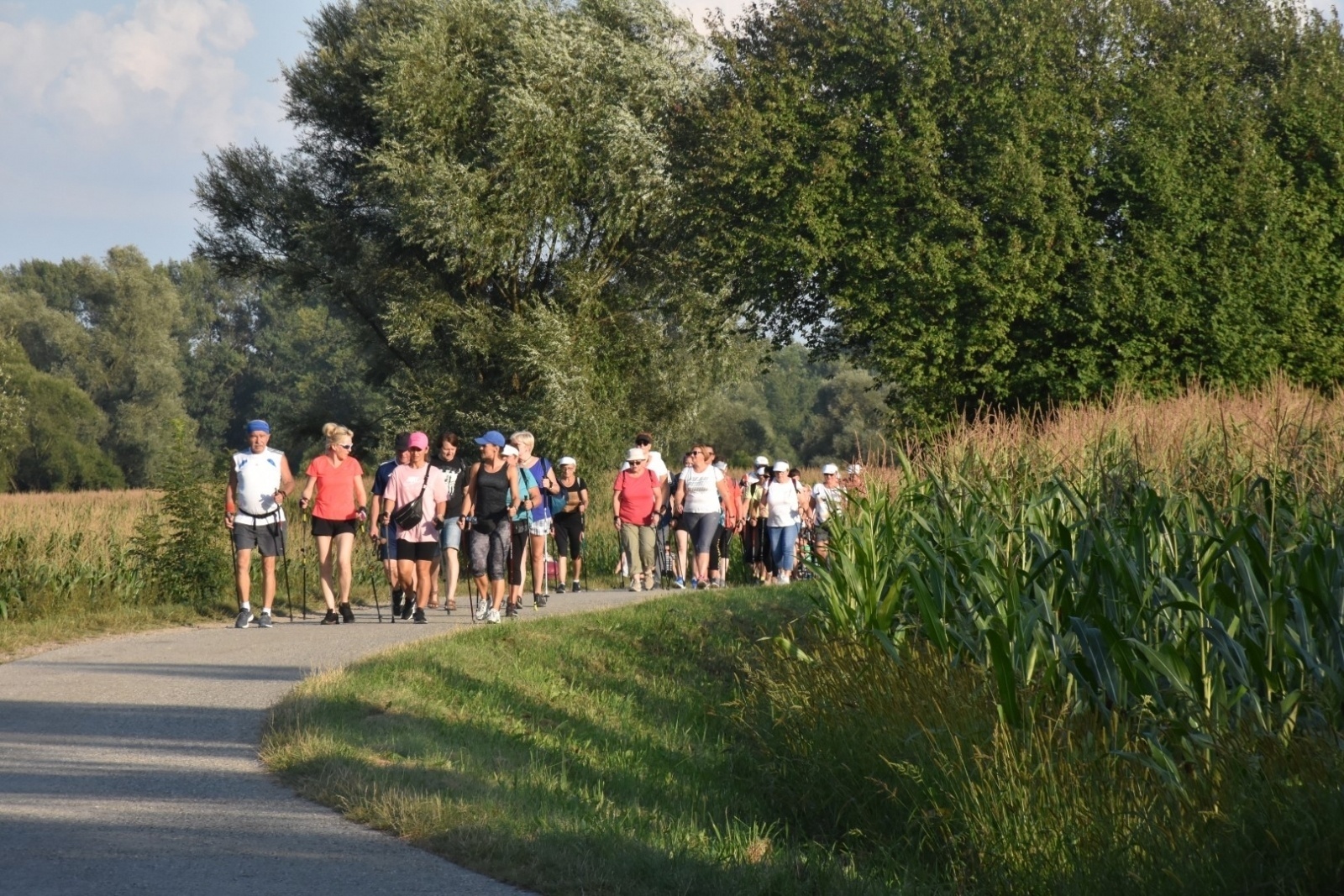 Zdjęcie w galerii na portalu naszraciborz.pl: Nordic Walking meandrami Odry w Chałupkach [FOTO] wiadomości z regionu