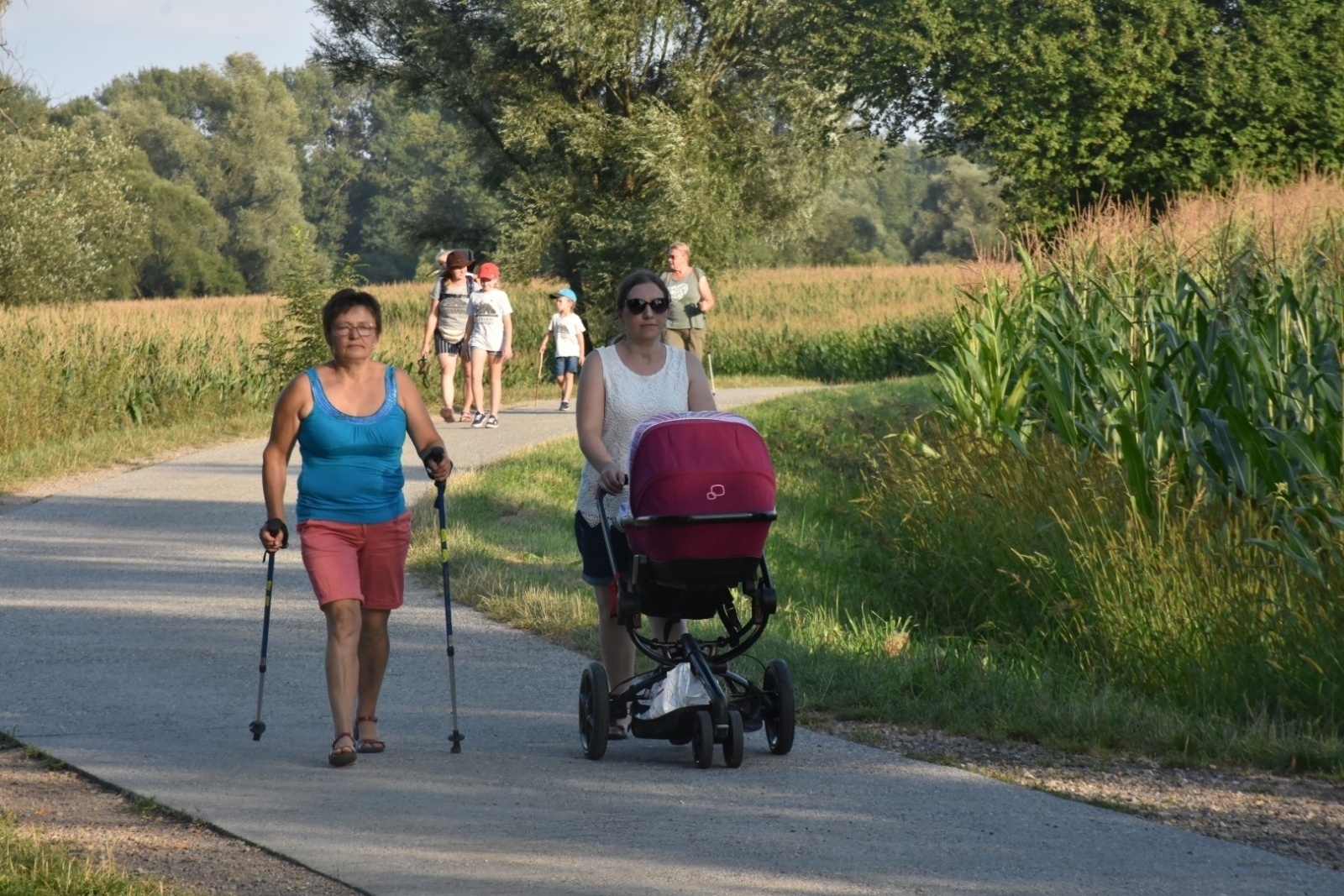 Zdjęcie w galerii na portalu naszraciborz.pl: Nordic Walking meandrami Odry w Chałupkach [FOTO] wiadomości z regionu