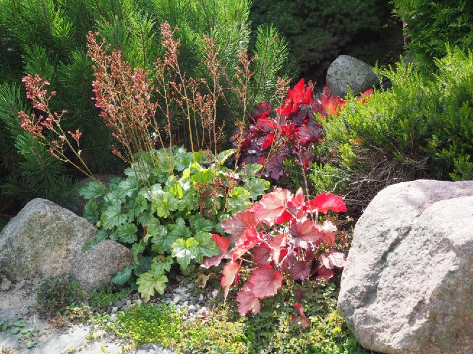 Zdjęcie w galerii na portalu naszraciborz.pl: Najpiękniejsze raciborskie ogrody przydomowe [FOTO] wiadomości z regionu