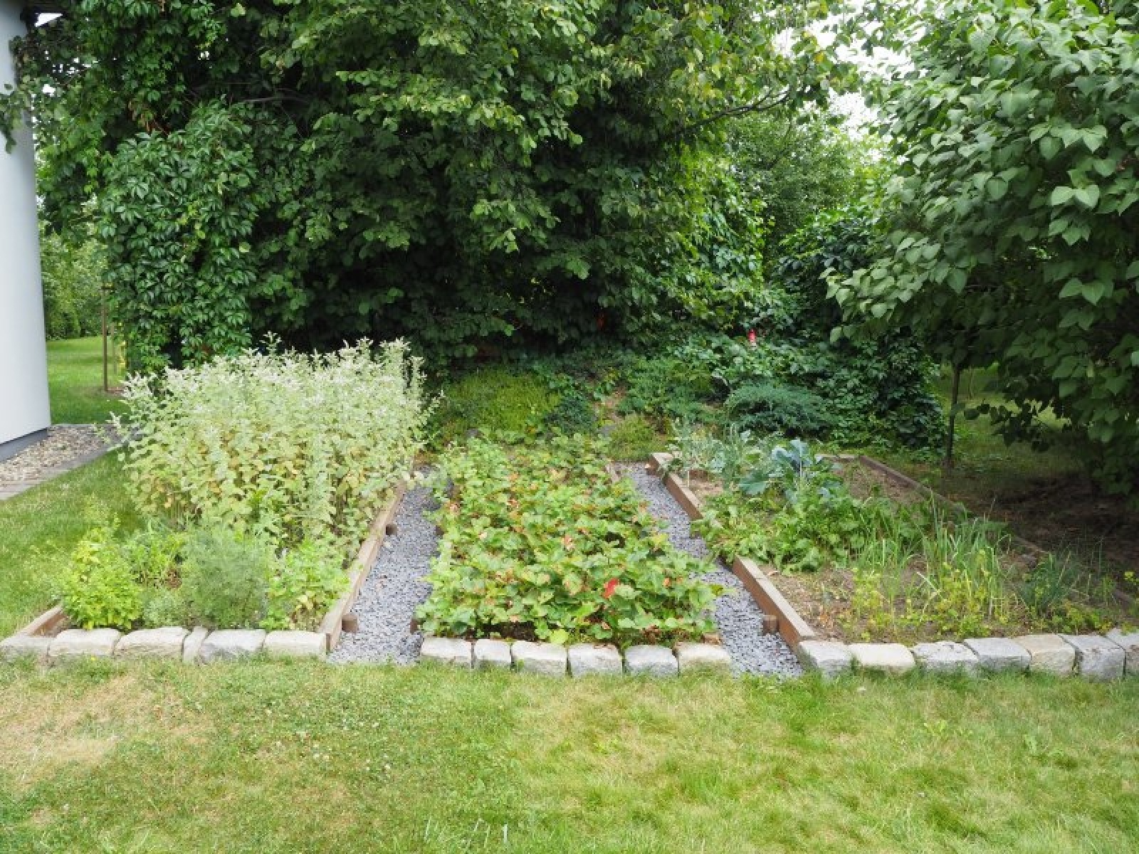 Zdjęcie w galerii na portalu naszraciborz.pl: Najpiękniejsze raciborskie ogrody przydomowe [FOTO] wiadomości z regionu