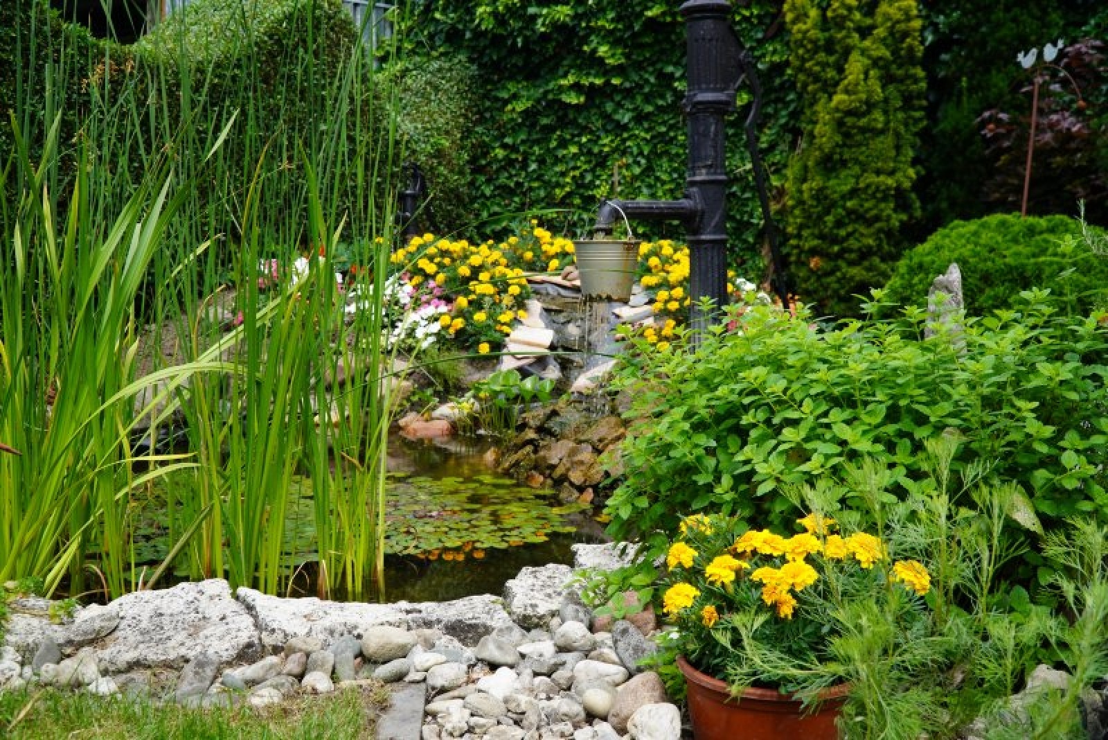 Zdjęcie w galerii na portalu naszraciborz.pl: Najpiękniejsze raciborskie ogrody przydomowe [FOTO] wiadomości z regionu