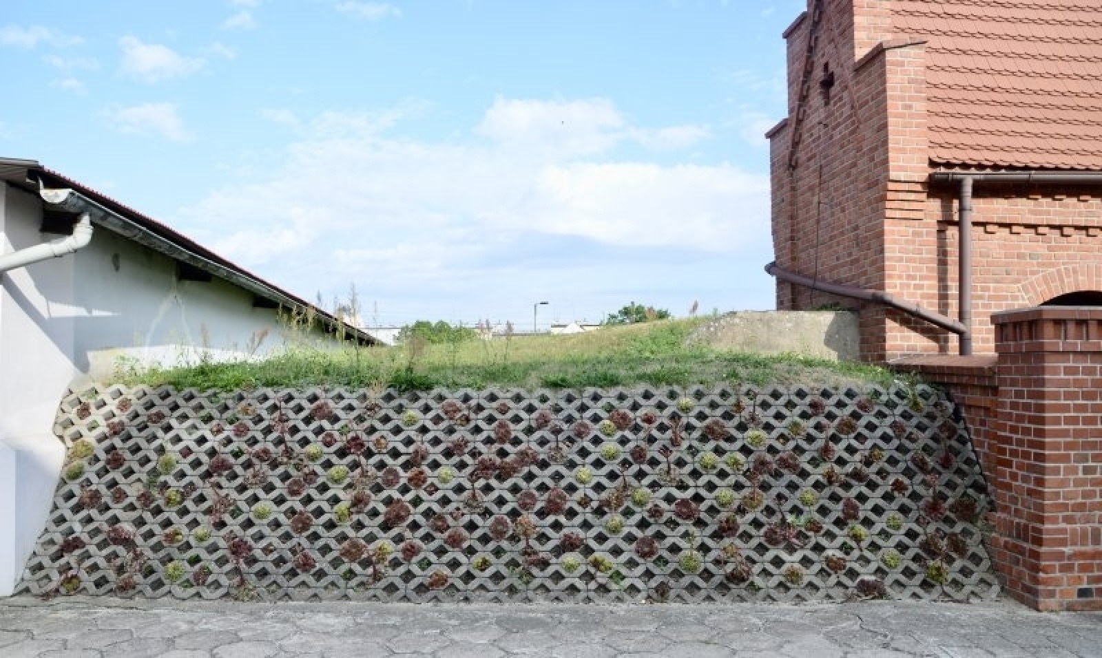 Zdjęcie w galerii na portalu naszraciborz.pl: Zielono mi. Wyniki raciborskiego konkursu wiadomości z regionu