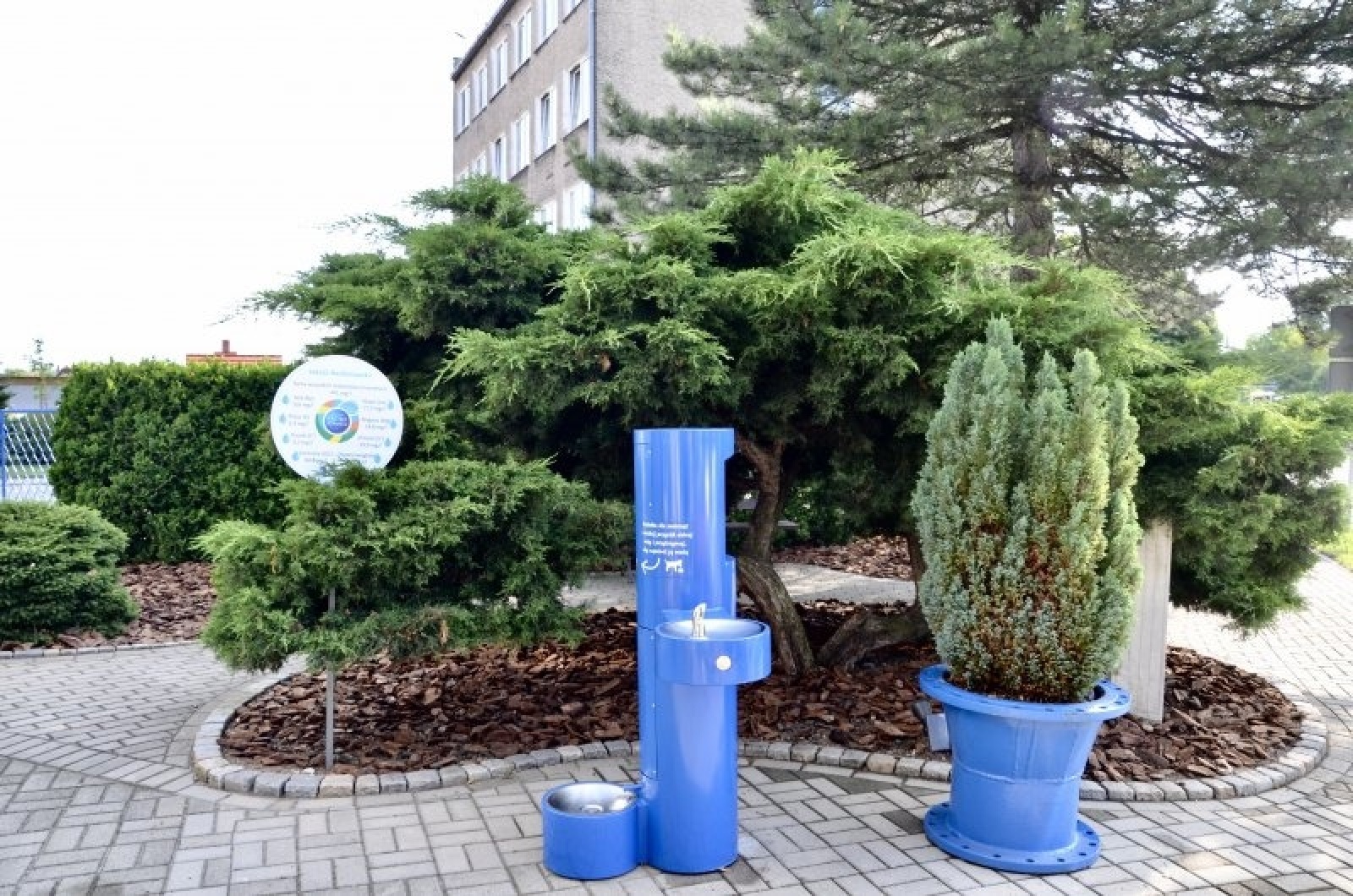 Zdjęcie w galerii na portalu naszraciborz.pl: Zielono mi. Wyniki raciborskiego konkursu wiadomości z regionu