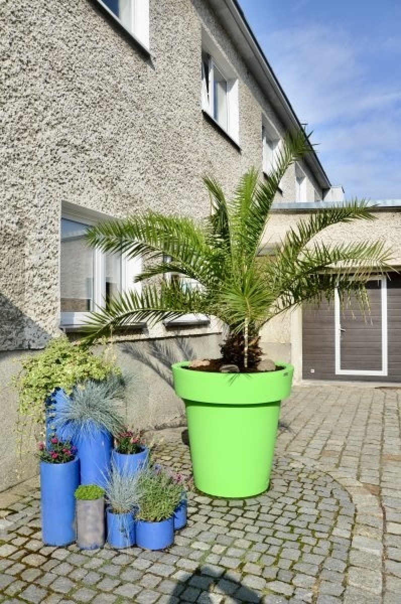 Zdjęcie w galerii na portalu naszraciborz.pl: Zielono mi. Wyniki raciborskiego konkursu wiadomości z regionu