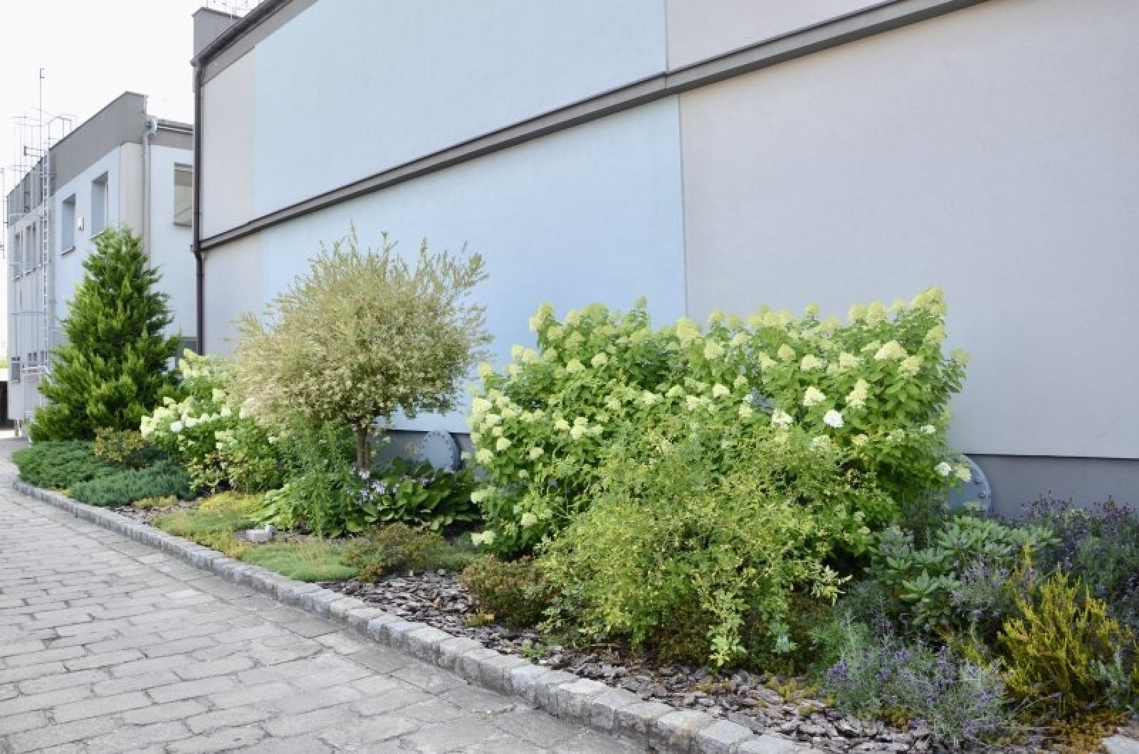 Zdjęcie w galerii na portalu naszraciborz.pl: Zielono mi. Wyniki raciborskiego konkursu wiadomości z regionu