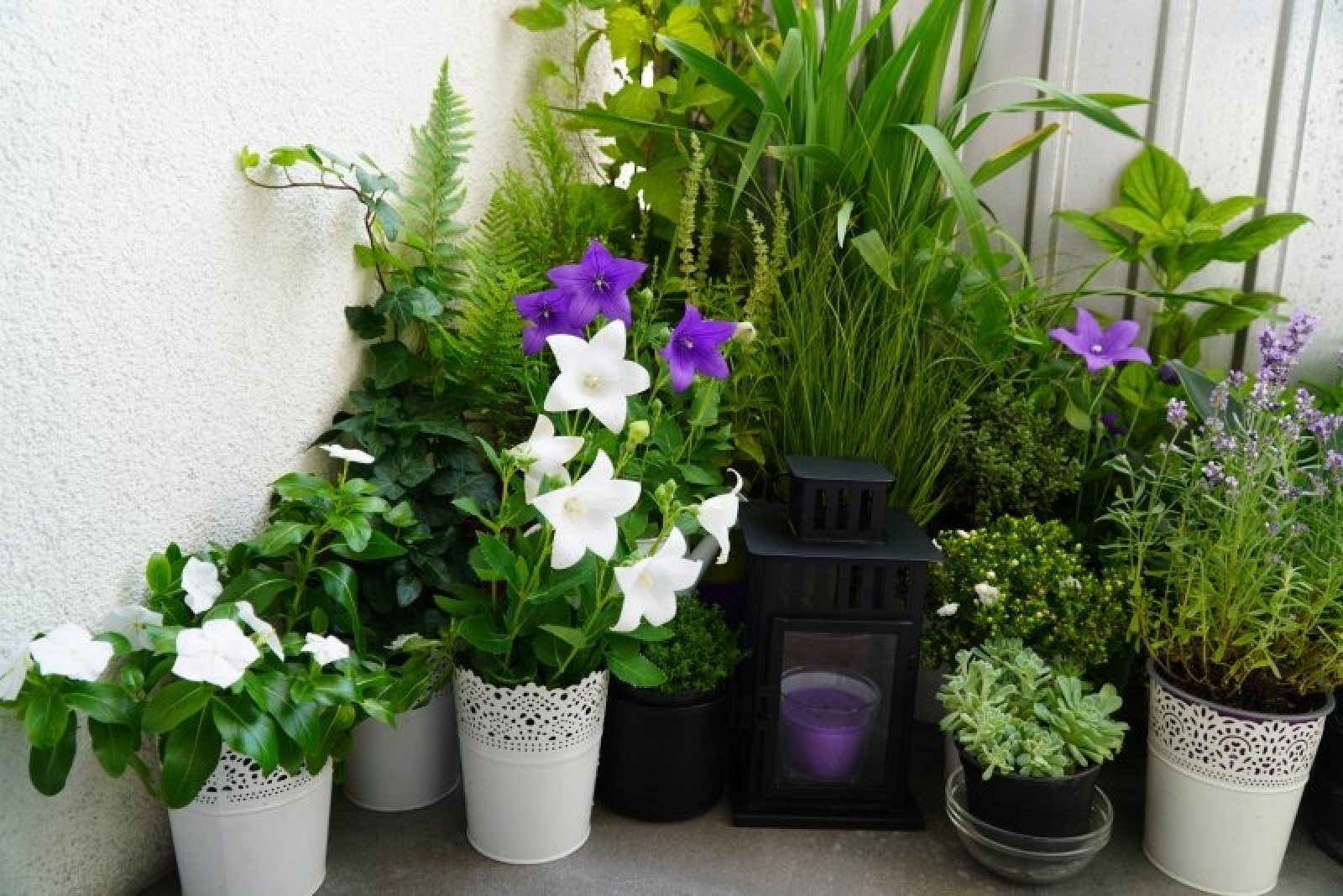 Zdjęcie w galerii na portalu naszraciborz.pl: Zielono mi. Wyniki raciborskiego konkursu wiadomości z regionu