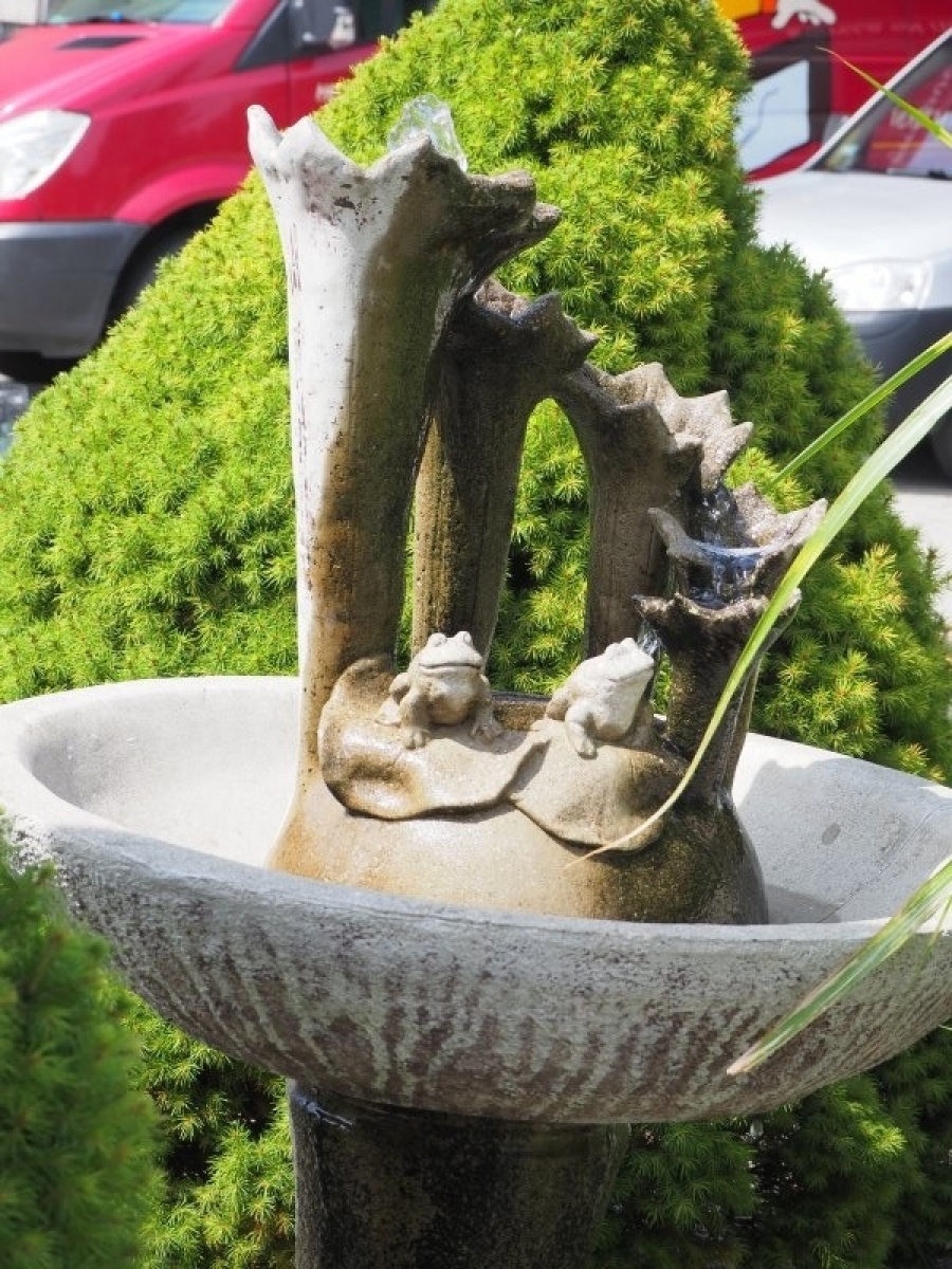 Zdjęcie w galerii na portalu naszraciborz.pl: Zielono mi. Wyniki raciborskiego konkursu wiadomości z regionu