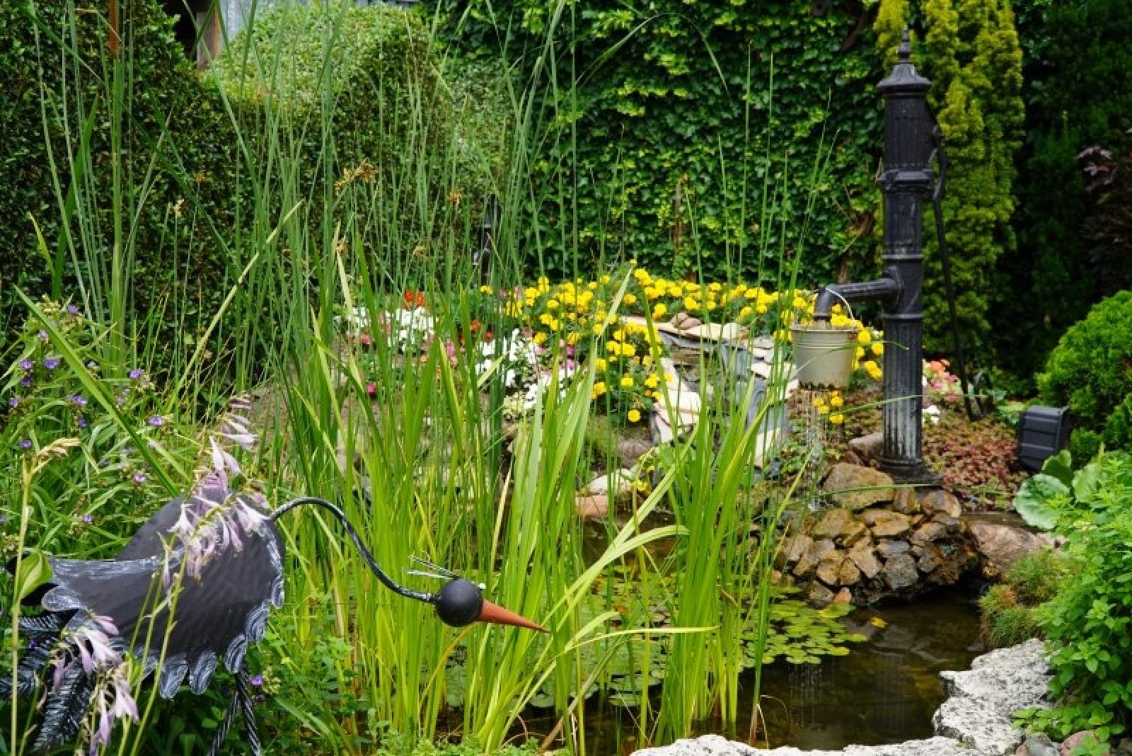 Zdjęcie w galerii na portalu naszraciborz.pl: Zielono mi. Wyniki raciborskiego konkursu wiadomości z regionu