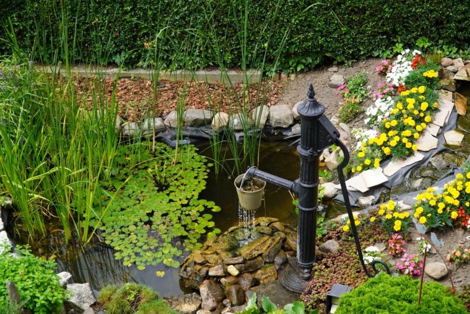 Zdjęcie w galerii na portalu naszraciborz.pl: Zielono mi. Wyniki raciborskiego konkursu wiadomości z regionu