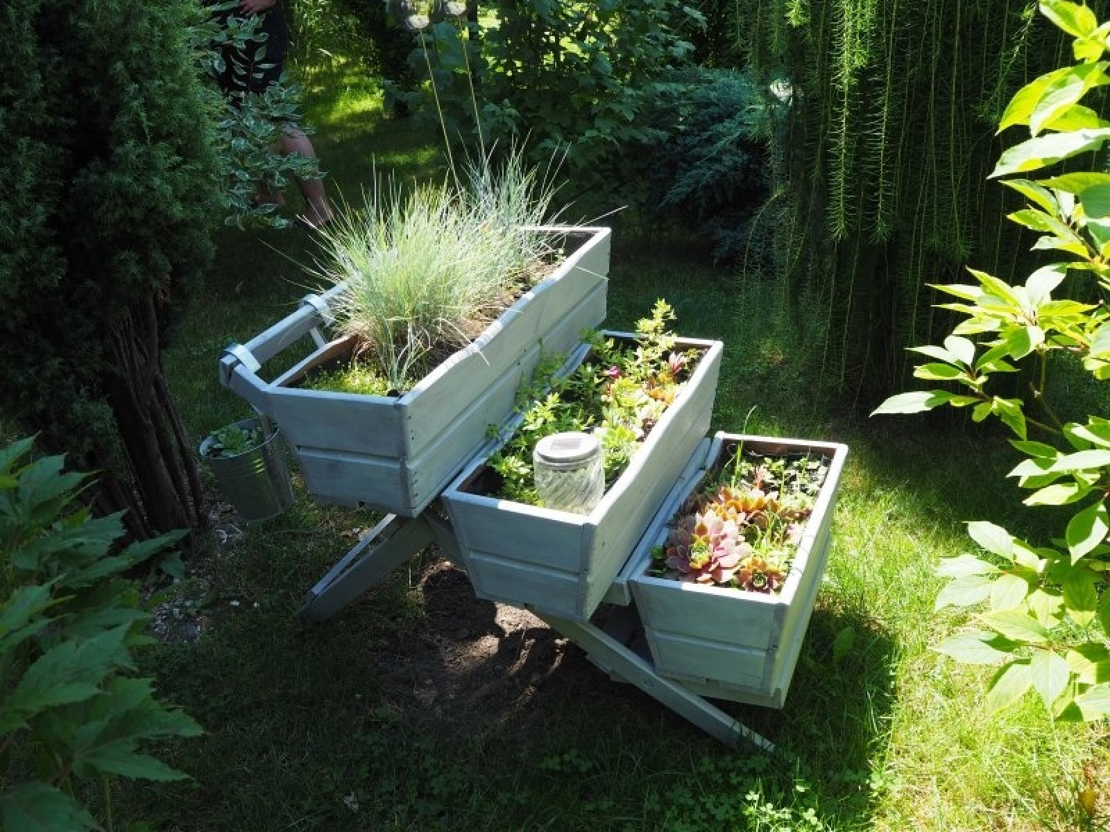 Zdjęcie w galerii na portalu naszraciborz.pl: Zielono mi. Wyniki raciborskiego konkursu wiadomości z regionu