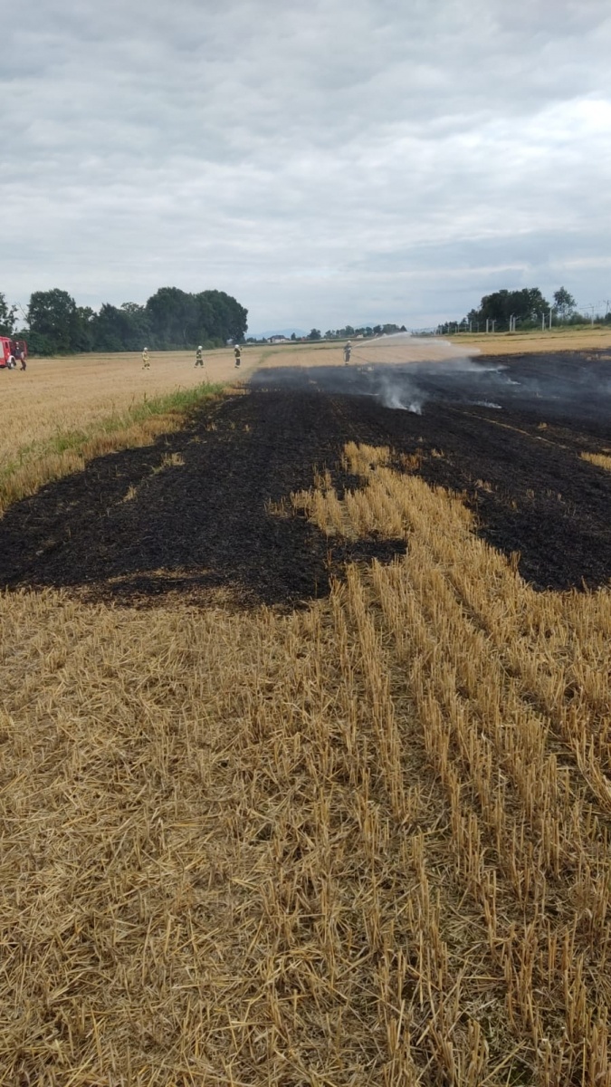 Zdjęcie w galerii na portalu naszraciborz.pl: Raport 998. Pożary w Roszkowie i Raciborzu wiadomości z regionu