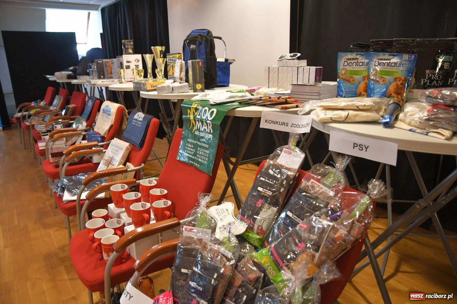 Zdjęcie w galerii na portalu naszraciborz.pl: Mistrzowie w układaniu słów rywalizują na raciborskim zamku wiadomości z regionu