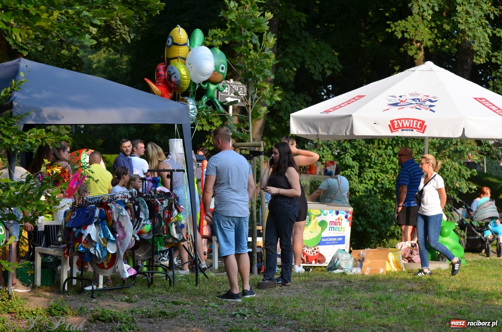 Zdjęcie w galerii na portalu naszraciborz.pl: Nad Odrą jak na Jamajce. Dni Raciborza w rytmach reggae wiadomości z regionu