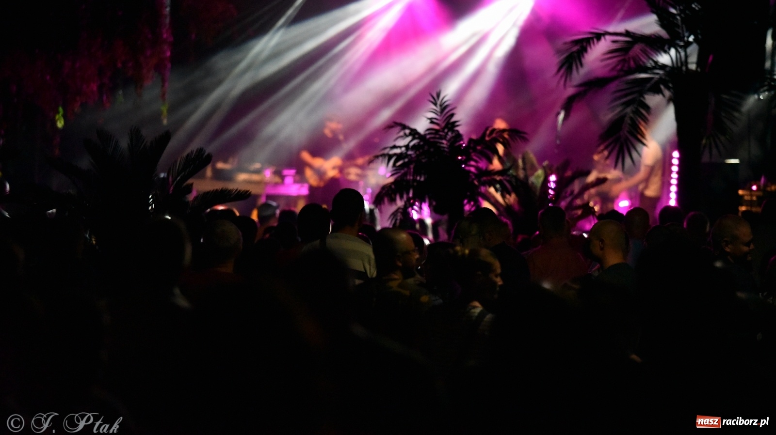 Zdjęcie w galerii na portalu naszraciborz.pl: Nad Odrą jak na Jamajce. Dni Raciborza w rytmach reggae wiadomości z regionu