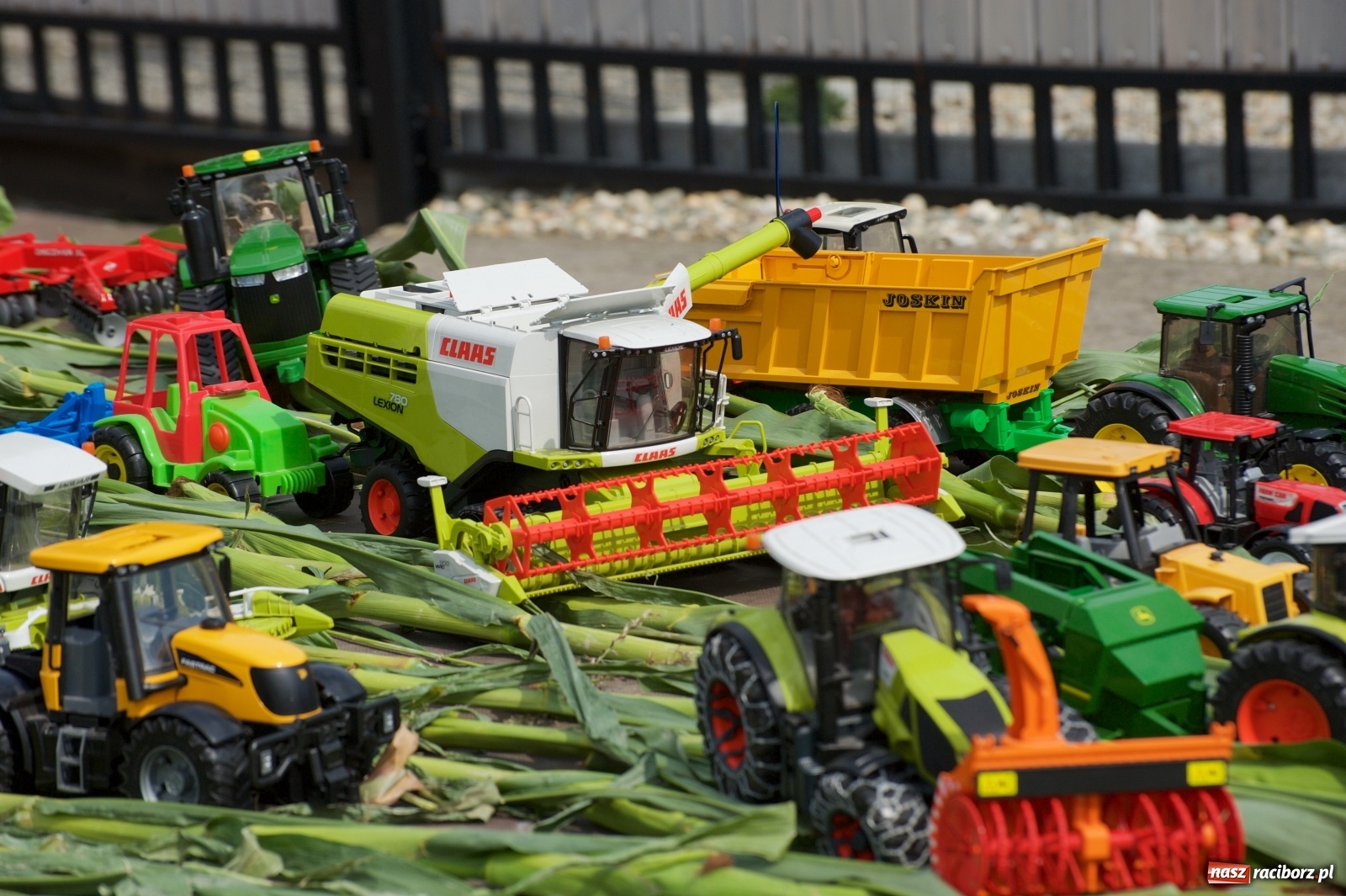 Zdjęcie w galerii na portalu naszraciborz.pl: Słoneczny patrol na dożynkach w Bolesławiu wiadomości z regionu