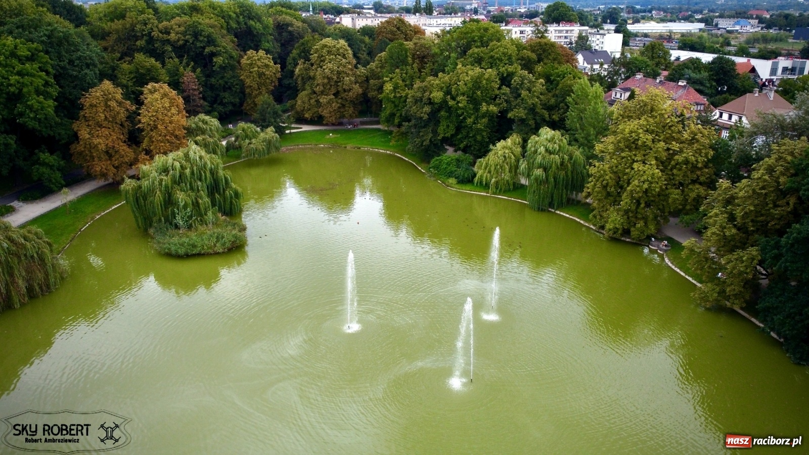 Zdjęcie w galerii na portalu naszraciborz.pl: Rozbiegany Racibórz. Run Kids na święto miasta [FOTO] wiadomości z regionu