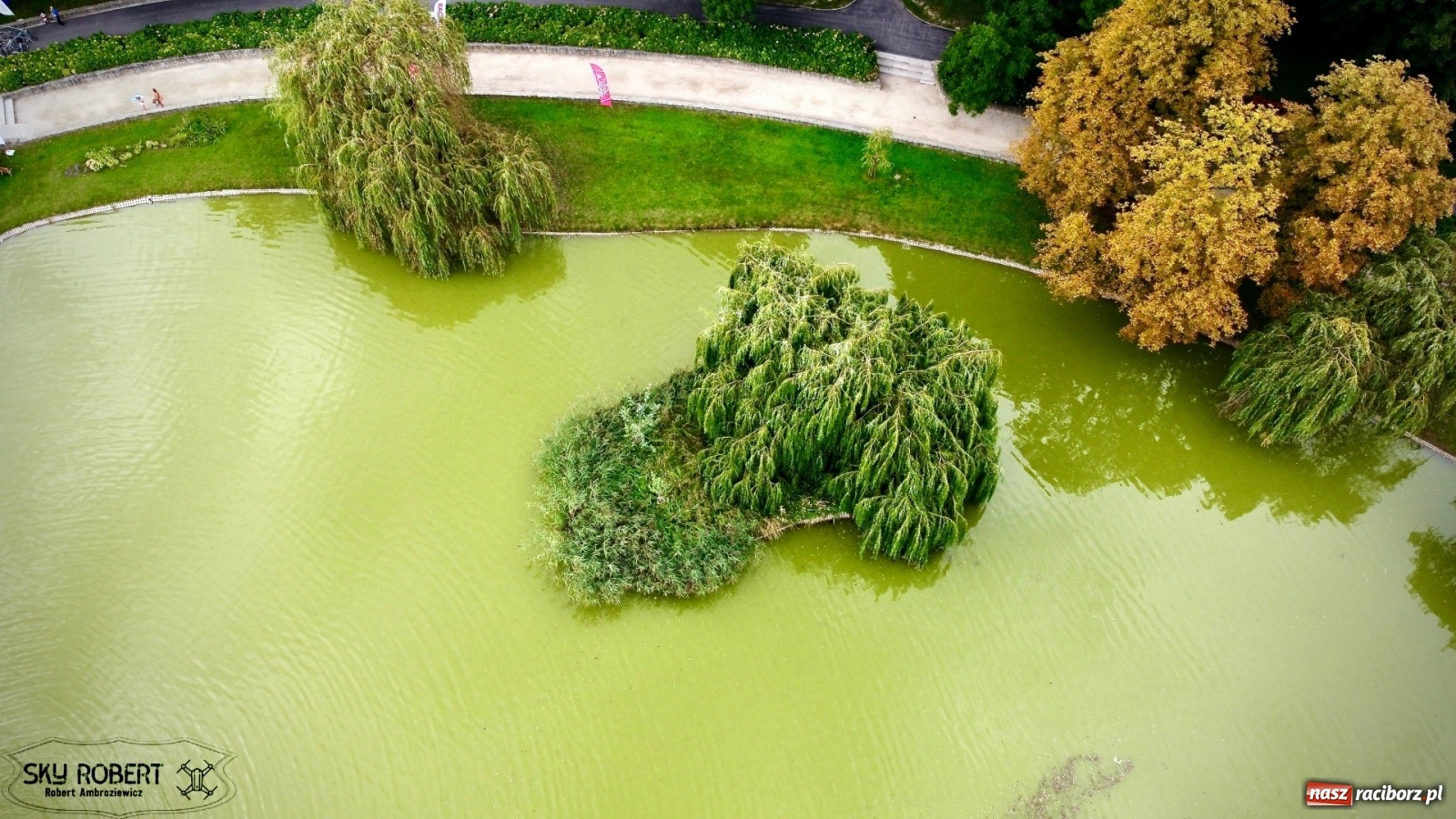 Zdjęcie w galerii na portalu naszraciborz.pl: Rozbiegany Racibórz. Run Kids na święto miasta [FOTO] wiadomości z regionu