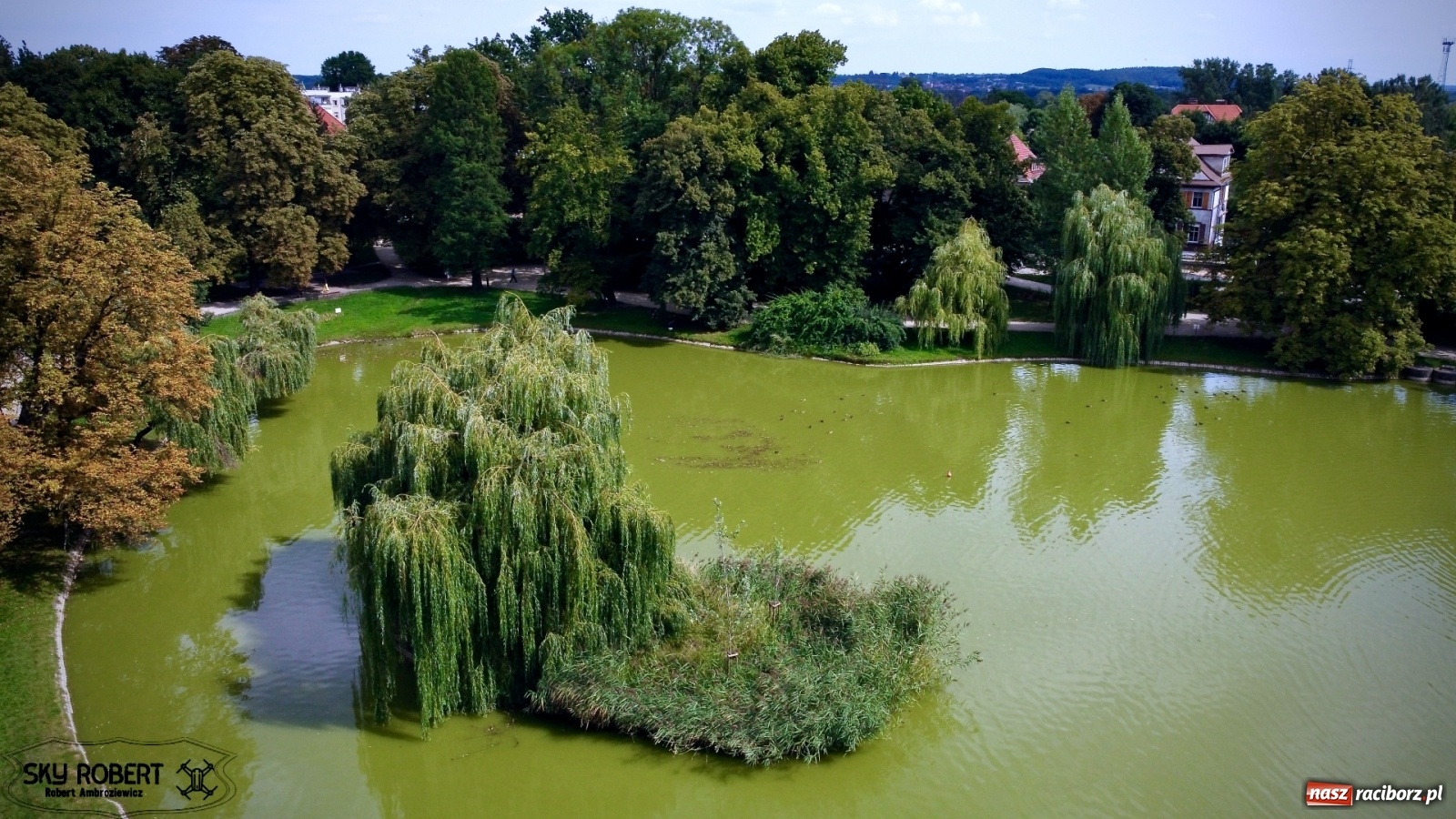 Zdjęcie w galerii na portalu naszraciborz.pl: Rozbiegany Racibórz. Run Kids na święto miasta [FOTO] wiadomości z regionu