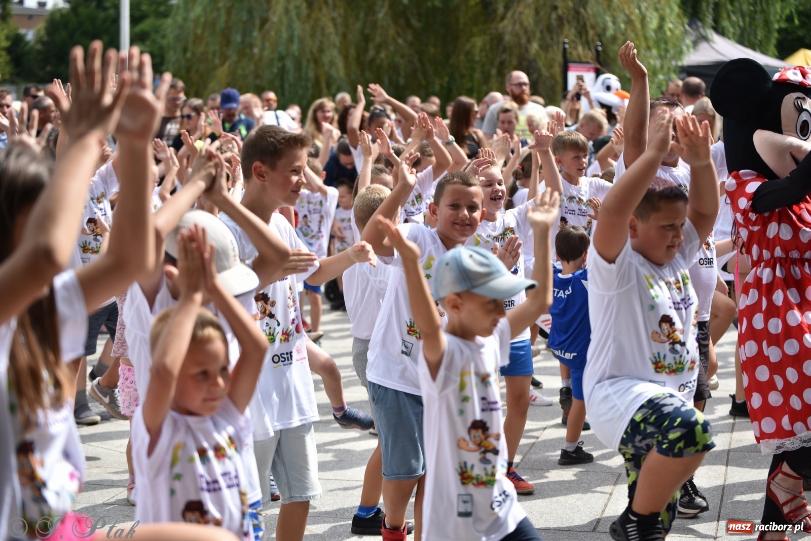 Zdjęcie w galerii na portalu naszraciborz.pl: Rozbiegany Racibórz. Run Kids na święto miasta [FOTO] wiadomości z regionu