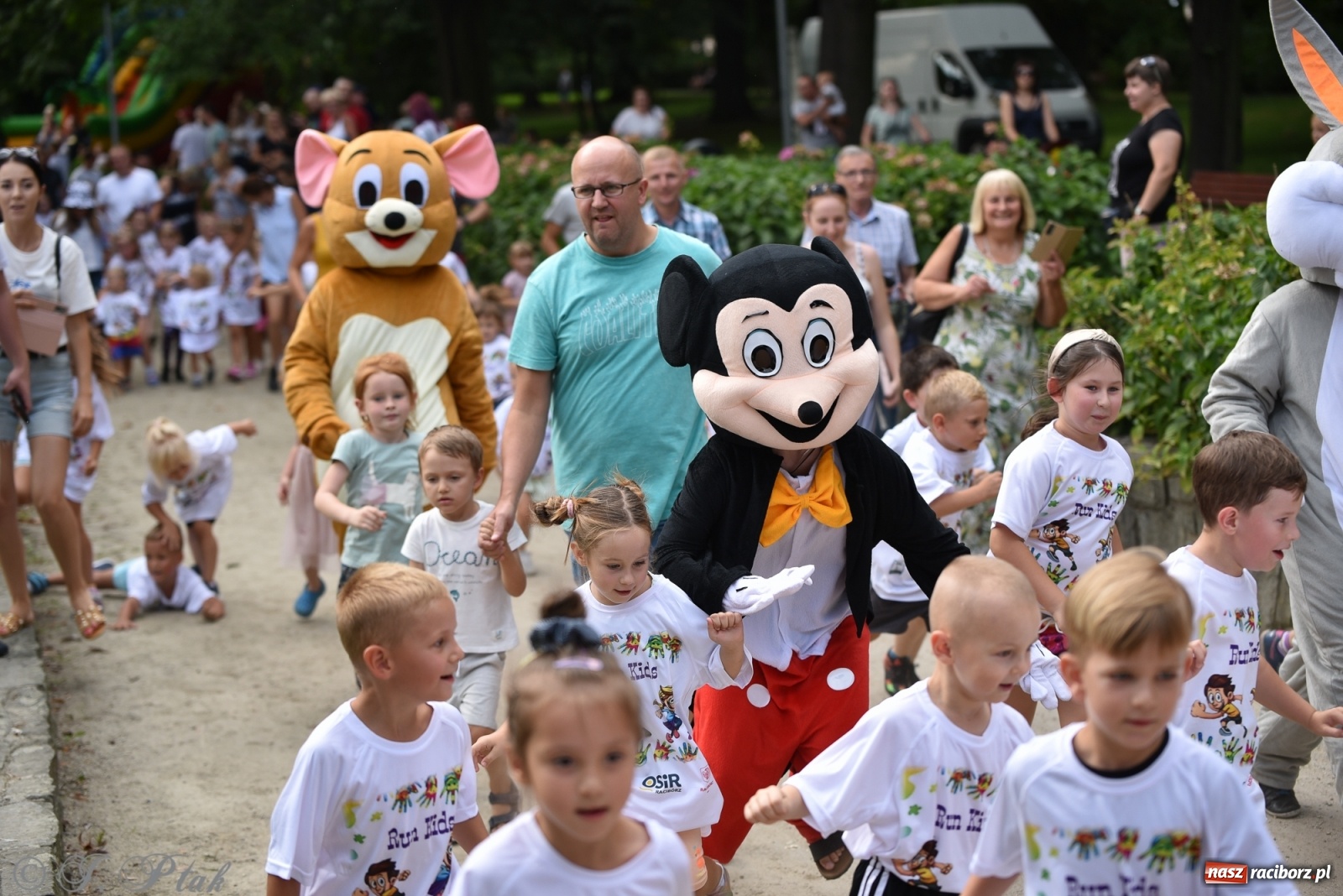 Zdjęcie w galerii na portalu naszraciborz.pl: Rozbiegany Racibórz. Run Kids na święto miasta [FOTO] wiadomości z regionu