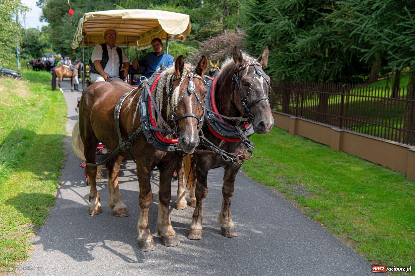 Zdjęcie w galerii na portalu naszraciborz.pl: Przez Raszczyce przeszedł barwny korowód wiadomości z regionu
