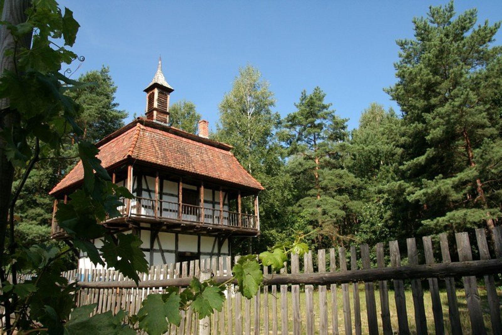 Zdjęcie w galerii na portalu naszraciborz.pl: Winobranie w Zielonej Górze… czyli dobry początek września z ORINOKO! wiadomości z regionu