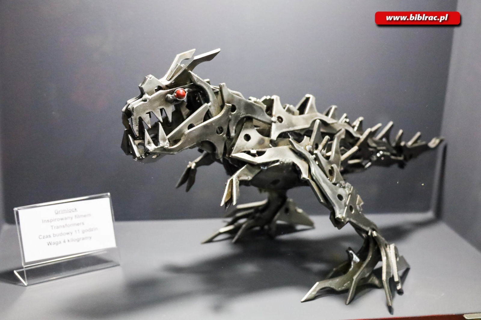 Zdjęcie w galerii na portalu naszraciborz.pl: Fabryka Robotów oraz Park Edukacji - kosmiczna wycieczka z biblioteką wiadomości z regionu