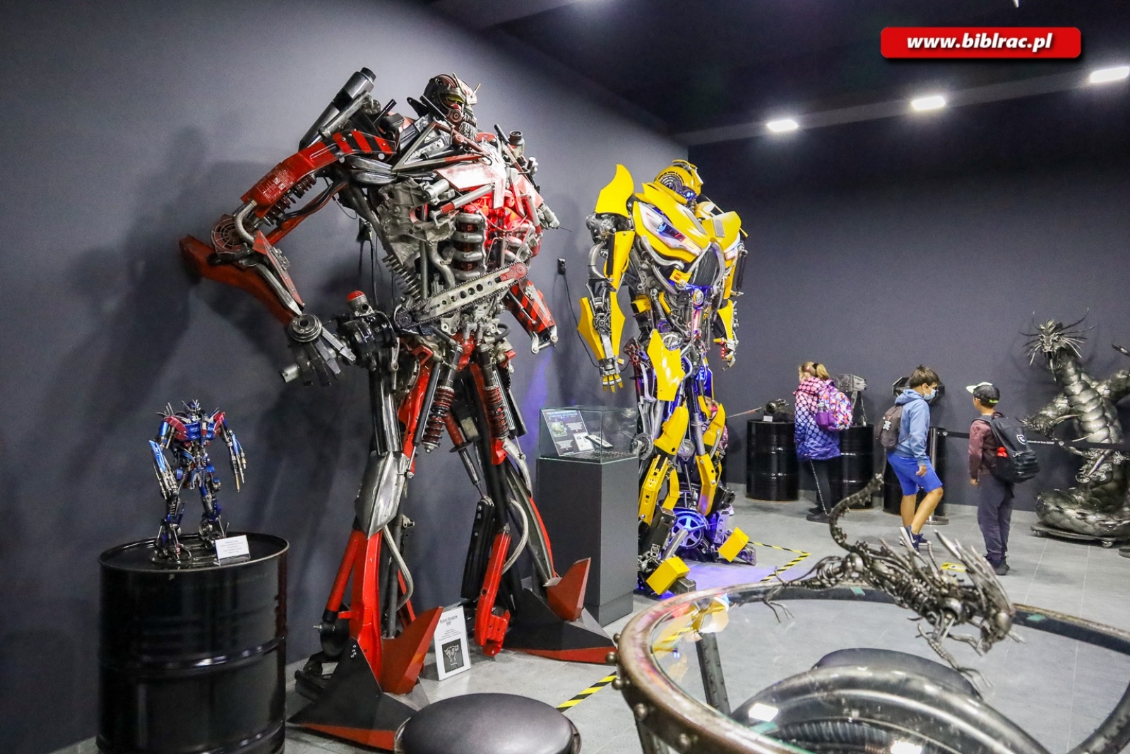 Zdjęcie w galerii na portalu naszraciborz.pl: Fabryka Robotów oraz Park Edukacji - kosmiczna wycieczka z biblioteką wiadomości z regionu