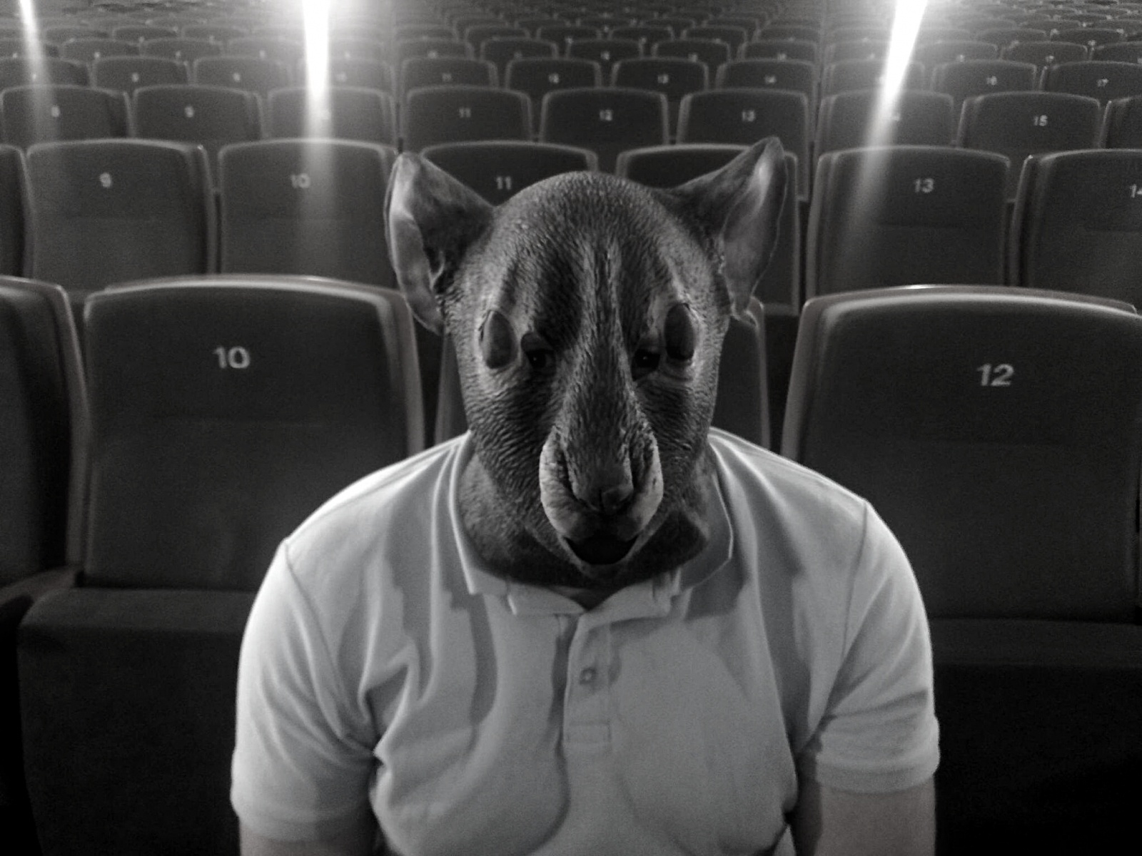 Zdjęcie w galerii na portalu naszraciborz.pl: W Pogrzebieniu powstaje bajka o Kinderlagrze wiadomości z regionu