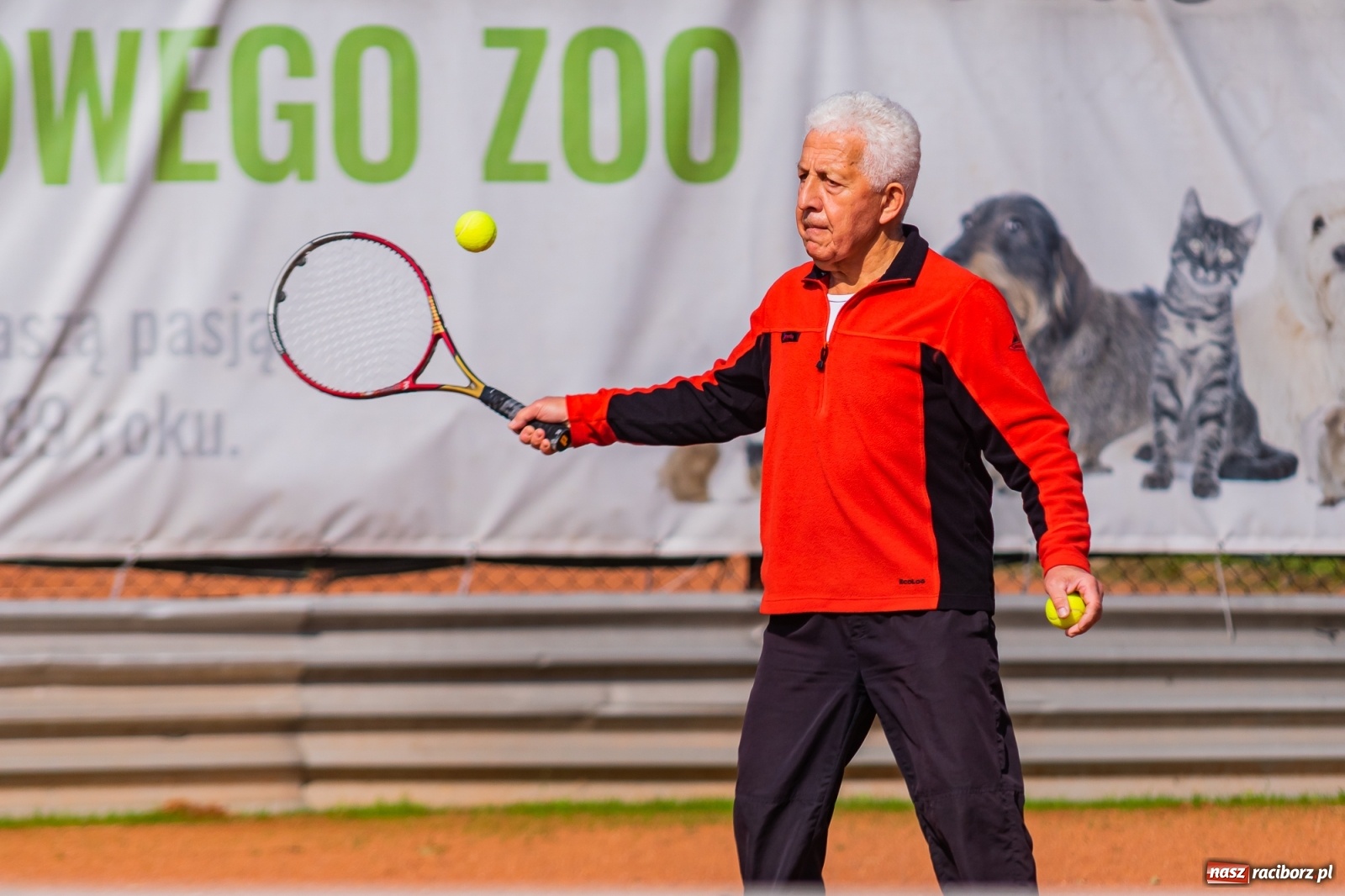 Zdjęcie w galerii na portalu naszraciborz.pl: Tenisowe zmagania raciborskich seniorów o Puchar Prezydenta [FOTO i WIDEO] wiadomości z regionu