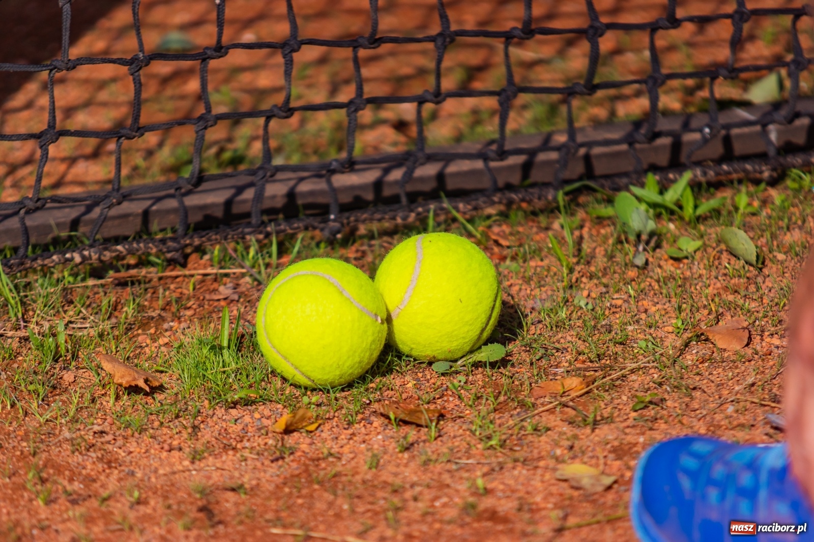 Zdjęcie w galerii na portalu naszraciborz.pl: Tenisowe zmagania raciborskich seniorów o Puchar Prezydenta [FOTO i WIDEO] wiadomości z regionu
