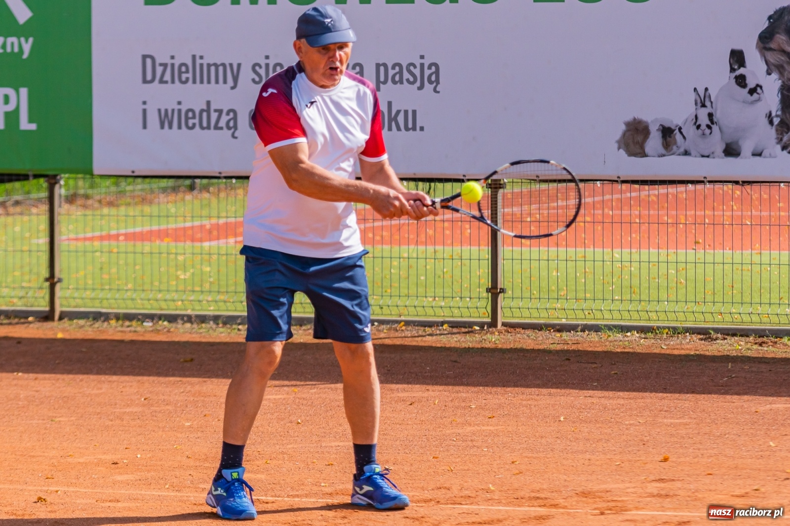 Zdjęcie w galerii na portalu naszraciborz.pl: Tenisowe zmagania raciborskich seniorów o Puchar Prezydenta [FOTO i WIDEO] wiadomości z regionu