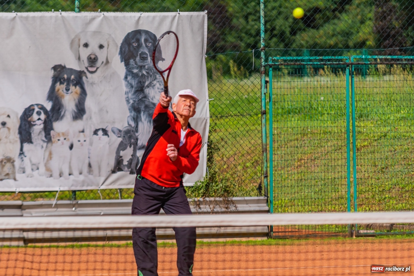 Zdjęcie w galerii na portalu naszraciborz.pl: Tenisowe zmagania raciborskich seniorów o Puchar Prezydenta [FOTO i WIDEO] wiadomości z regionu