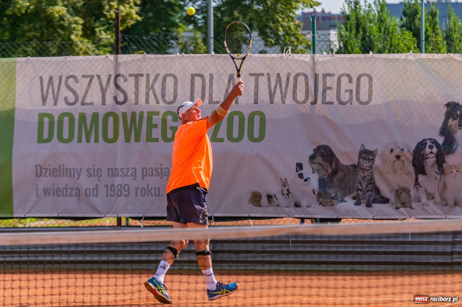 Zdjęcie w galerii na portalu naszraciborz.pl: Tenisowe zmagania raciborskich seniorów o Puchar Prezydenta [FOTO i WIDEO] wiadomości z regionu