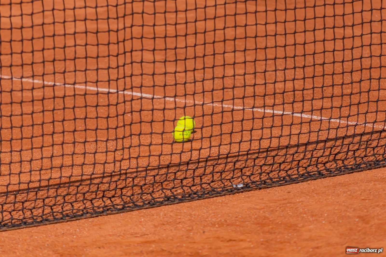 Zdjęcie w galerii na portalu naszraciborz.pl: Tenisowe zmagania raciborskich seniorów o Puchar Prezydenta [FOTO i WIDEO] wiadomości z regionu