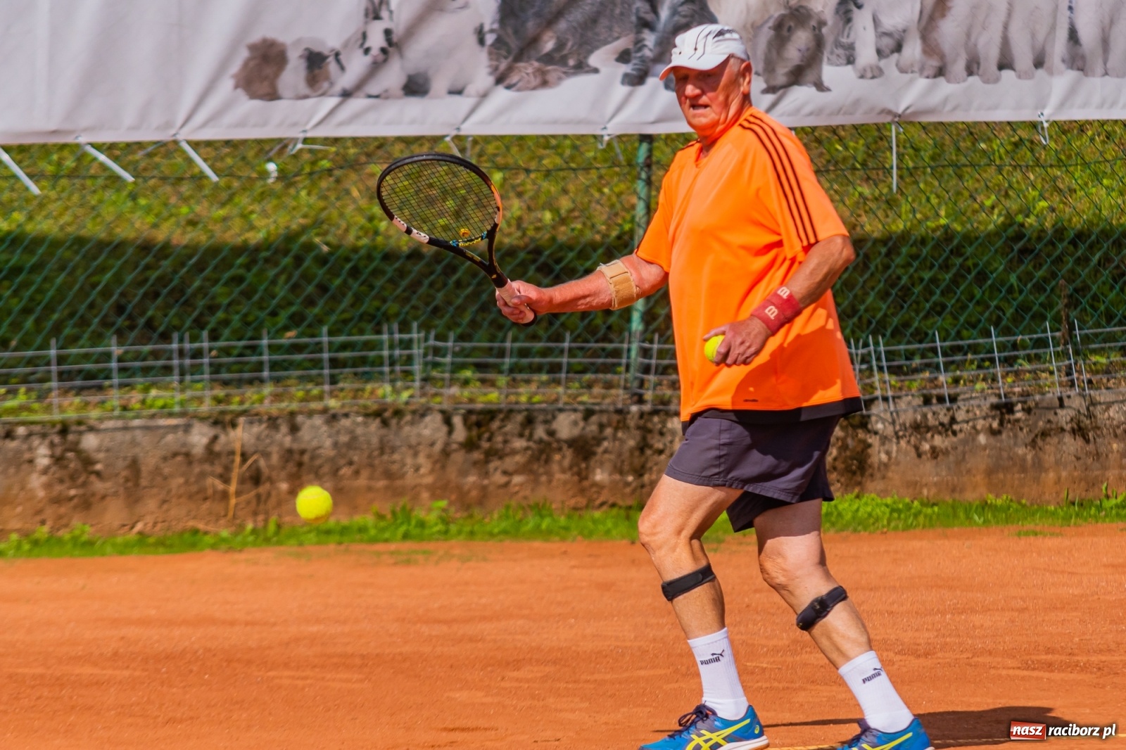 Zdjęcie w galerii na portalu naszraciborz.pl: Tenisowe zmagania raciborskich seniorów o Puchar Prezydenta [FOTO i WIDEO] wiadomości z regionu