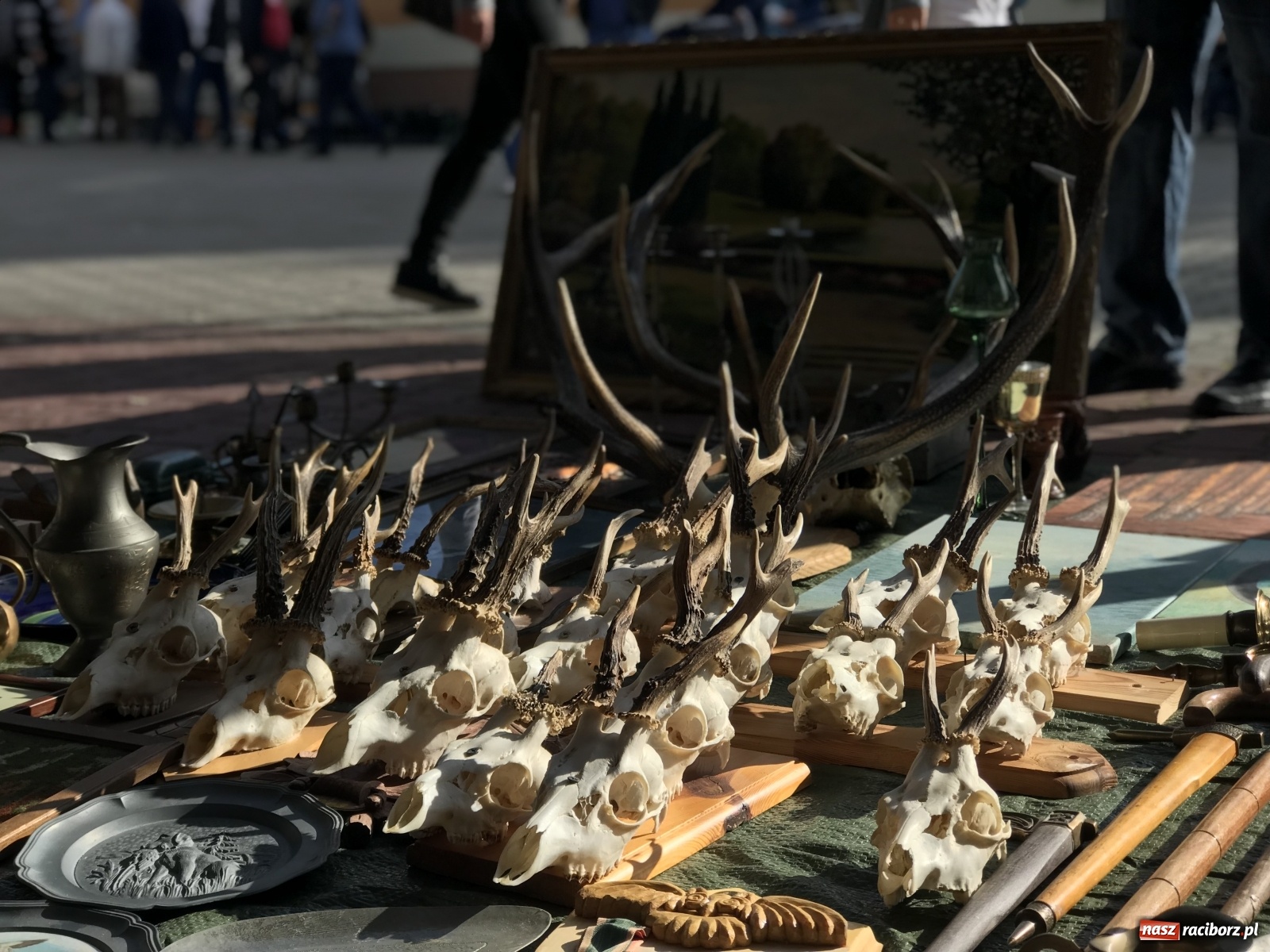 Zdjęcie w galerii na portalu naszraciborz.pl: Targ w Pietrowicach Wielkich. Coraz więcej sprzedających, coraz więcej nowizny wiadomości z regionu