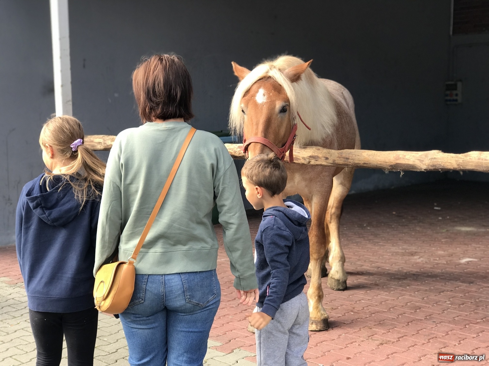 Zdjęcie w galerii na portalu naszraciborz.pl: Targ w Pietrowicach Wielkich. Coraz więcej sprzedających, coraz więcej nowizny wiadomości z regionu