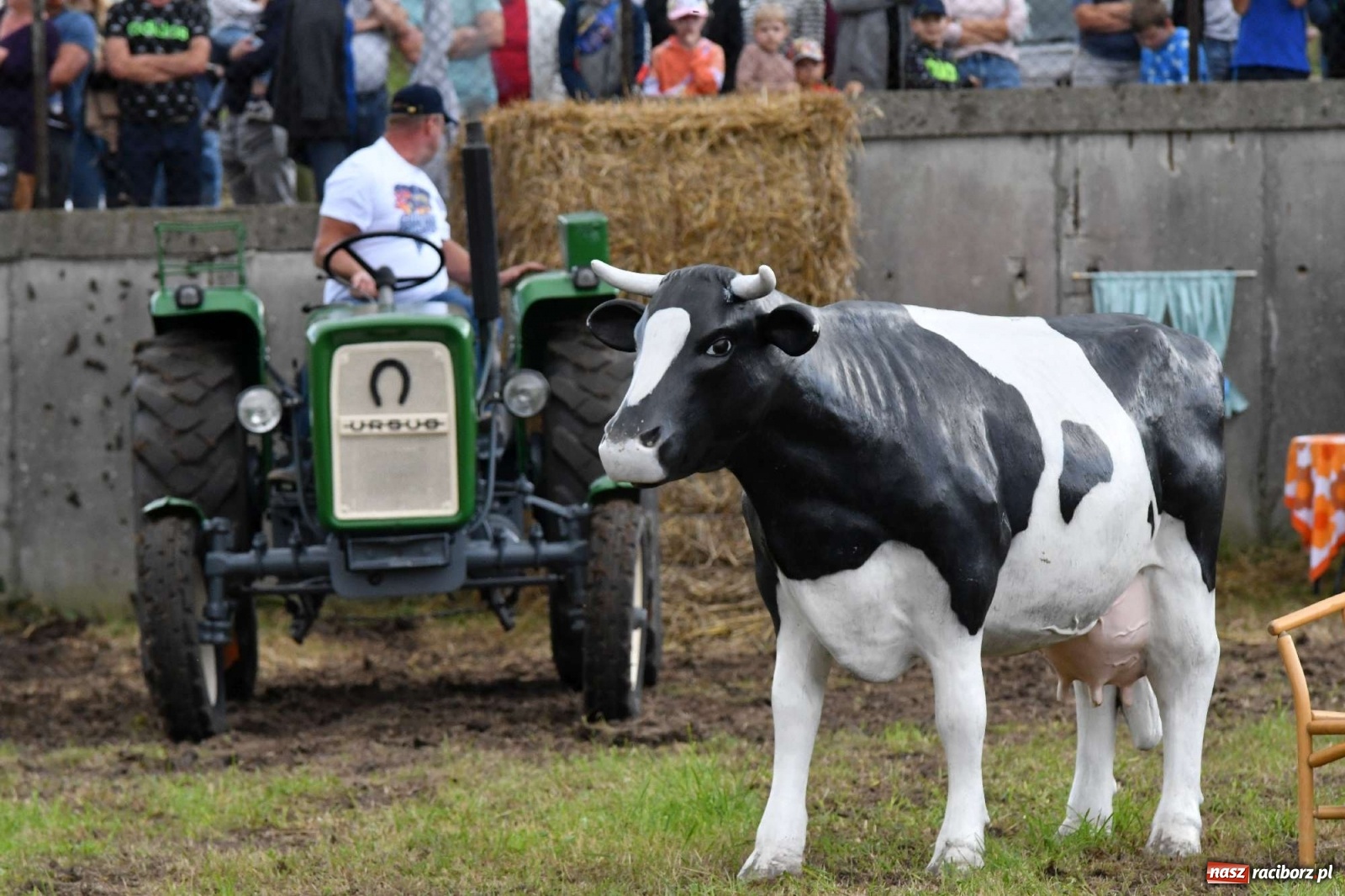 Zdjęcie w galerii na portalu naszraciborz.pl: Fantastyczny Ciapek Racing 2021. Tłum kibiców w Krowiarkach [FOTO i WIDEO] wiadomości z regionu