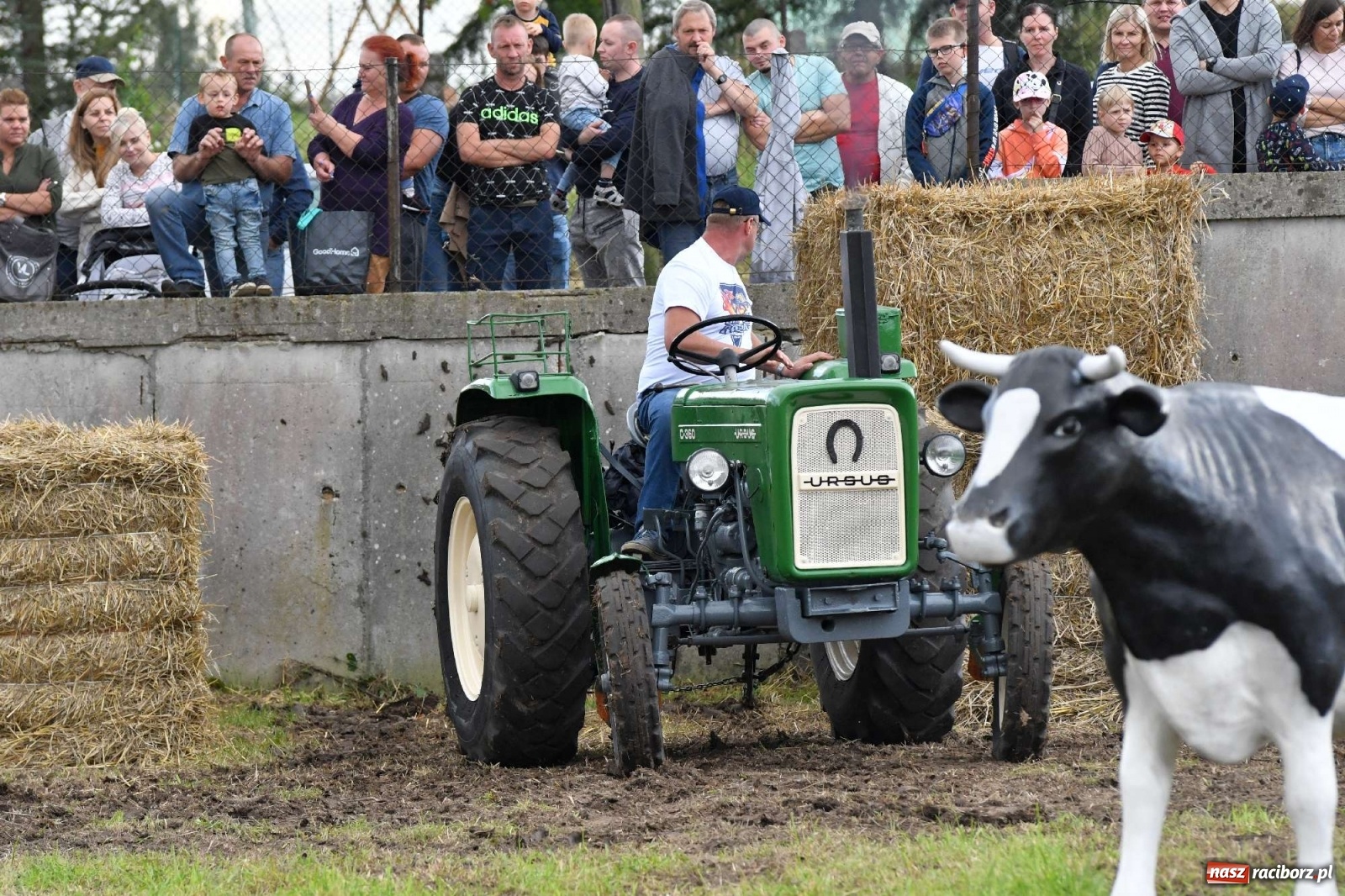 Zdjęcie w galerii na portalu naszraciborz.pl: Fantastyczny Ciapek Racing 2021. Tłum kibiców w Krowiarkach [FOTO i WIDEO] wiadomości z regionu