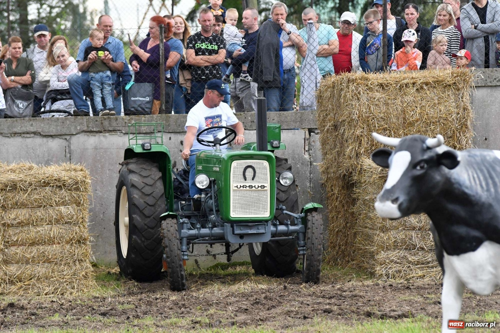 Zdjęcie w galerii na portalu naszraciborz.pl: Fantastyczny Ciapek Racing 2021. Tłum kibiców w Krowiarkach [FOTO i WIDEO] wiadomości z regionu