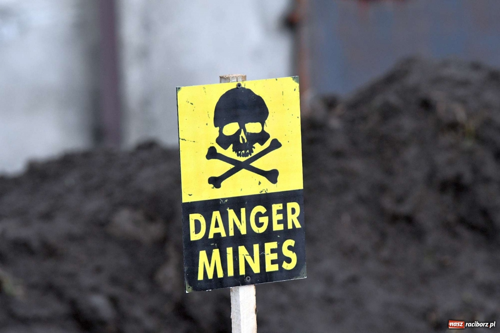 Zdjęcie w galerii na portalu naszraciborz.pl: Fantastyczny Ciapek Racing 2021. Tłum kibiców w Krowiarkach [FOTO i WIDEO] wiadomości z regionu