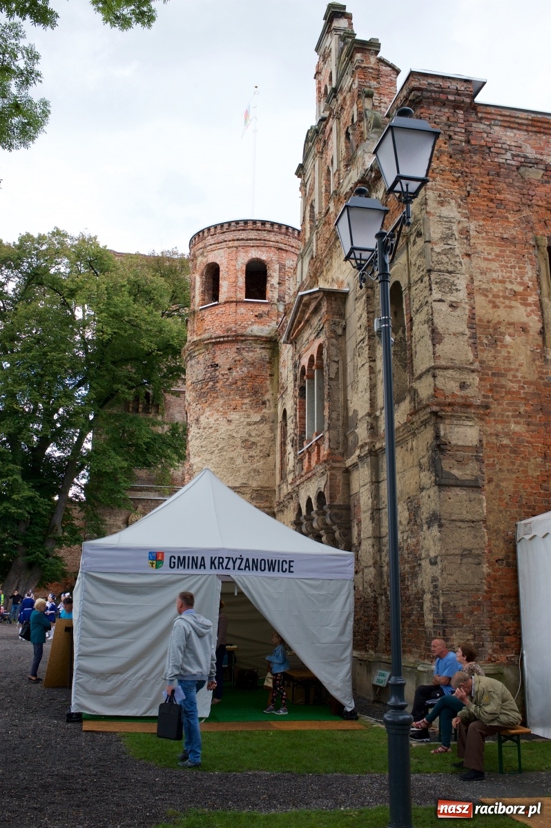 Zdjęcie w galerii na portalu naszraciborz.pl: Tworkowski piknik przy zamku zakończony fire show [FOTO] wiadomości z regionu