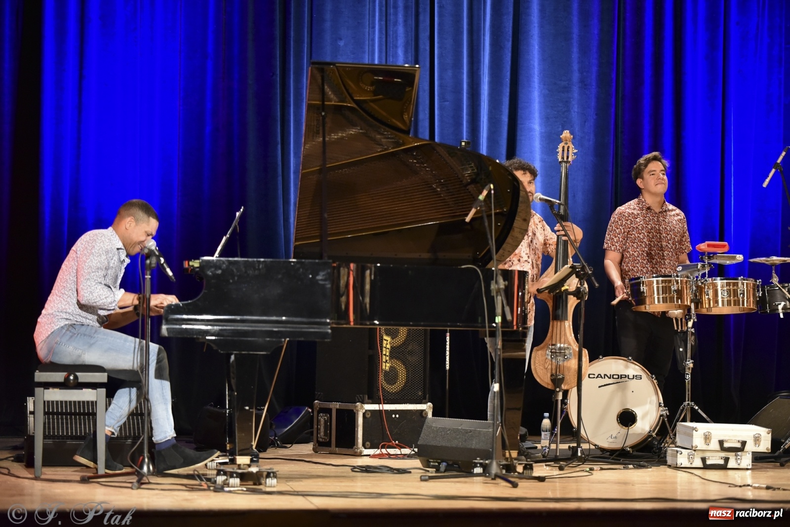 Zdjęcie w galerii na portalu naszraciborz.pl: Juanky&Sabrosura Viva. Kubańskie rytmy rozgrzewały raciborzan wiadomości z regionu